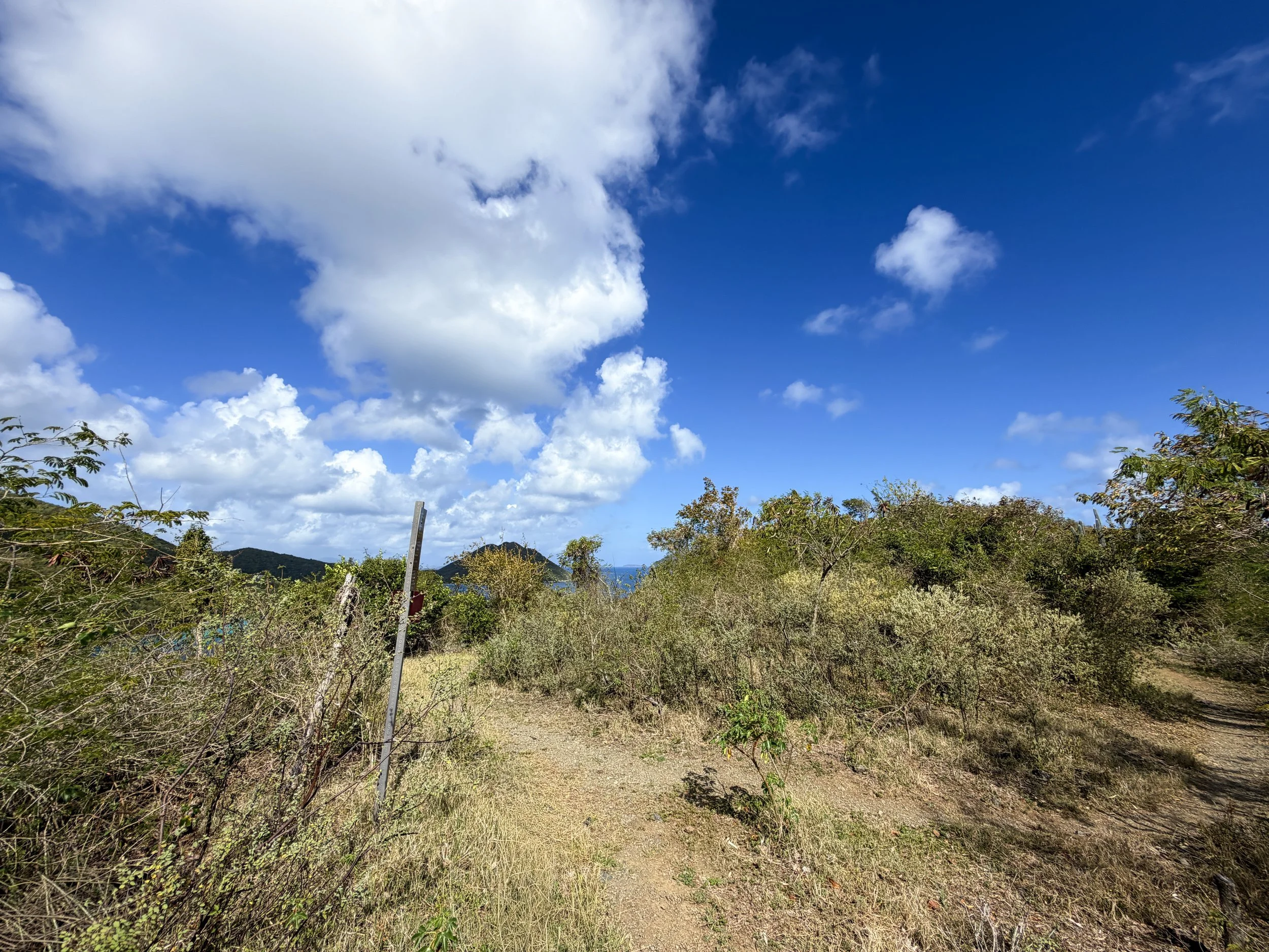 Johnny Horn Trail Virgin Islands National Park