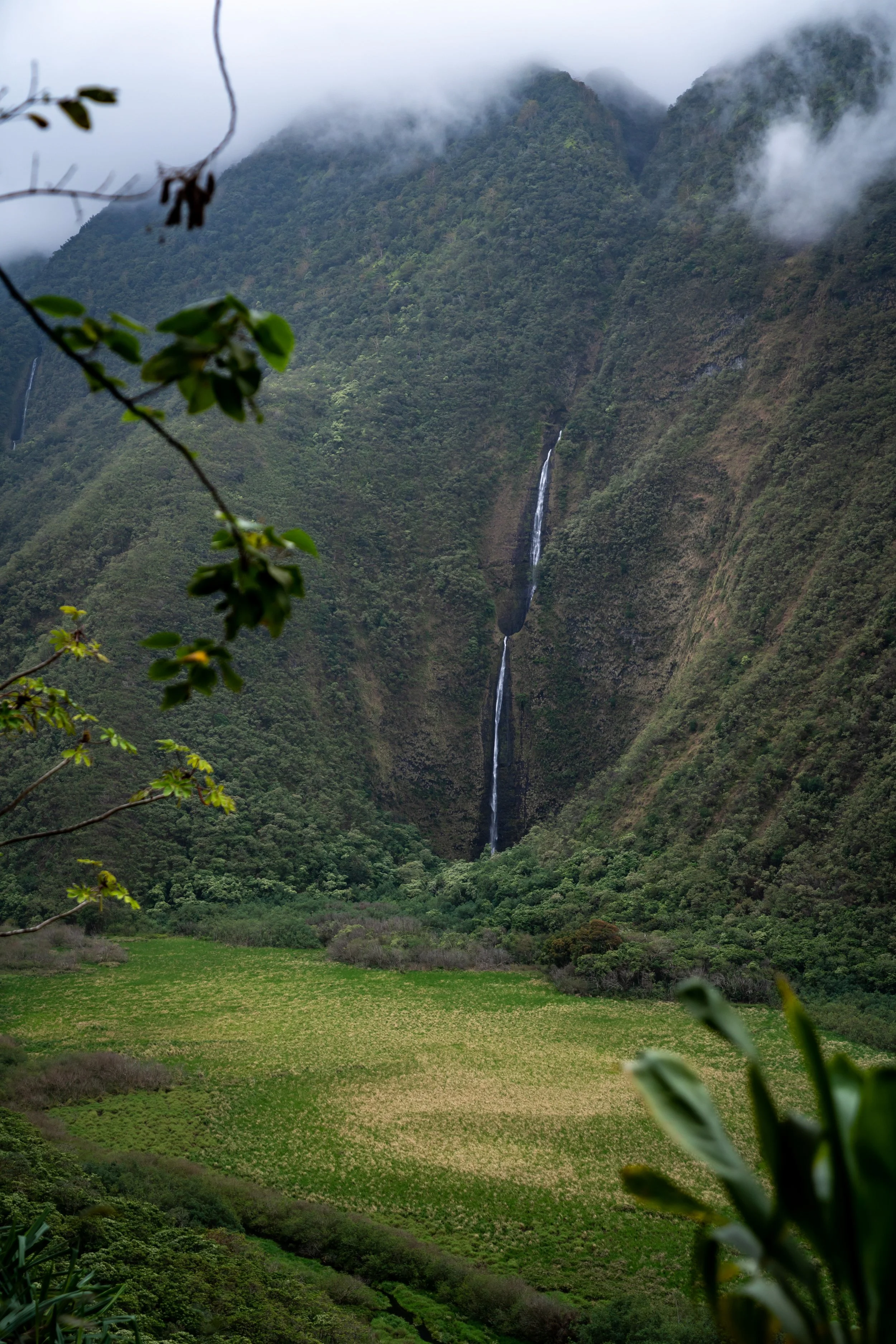 Hiking the Muliwai Trail to Waimanu Valley on the Big Island of Hawaiʻi