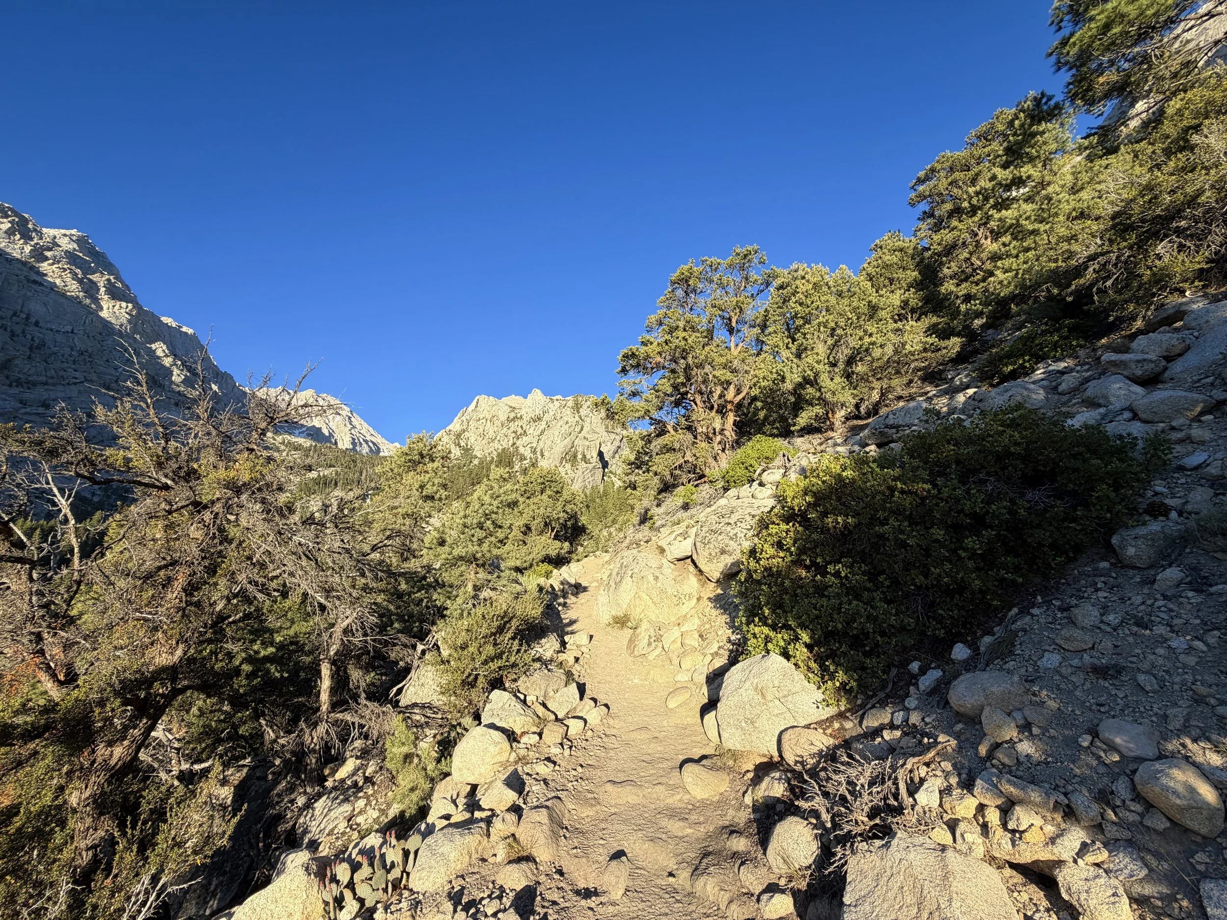 Mount Whitney Trail Lone Pine California