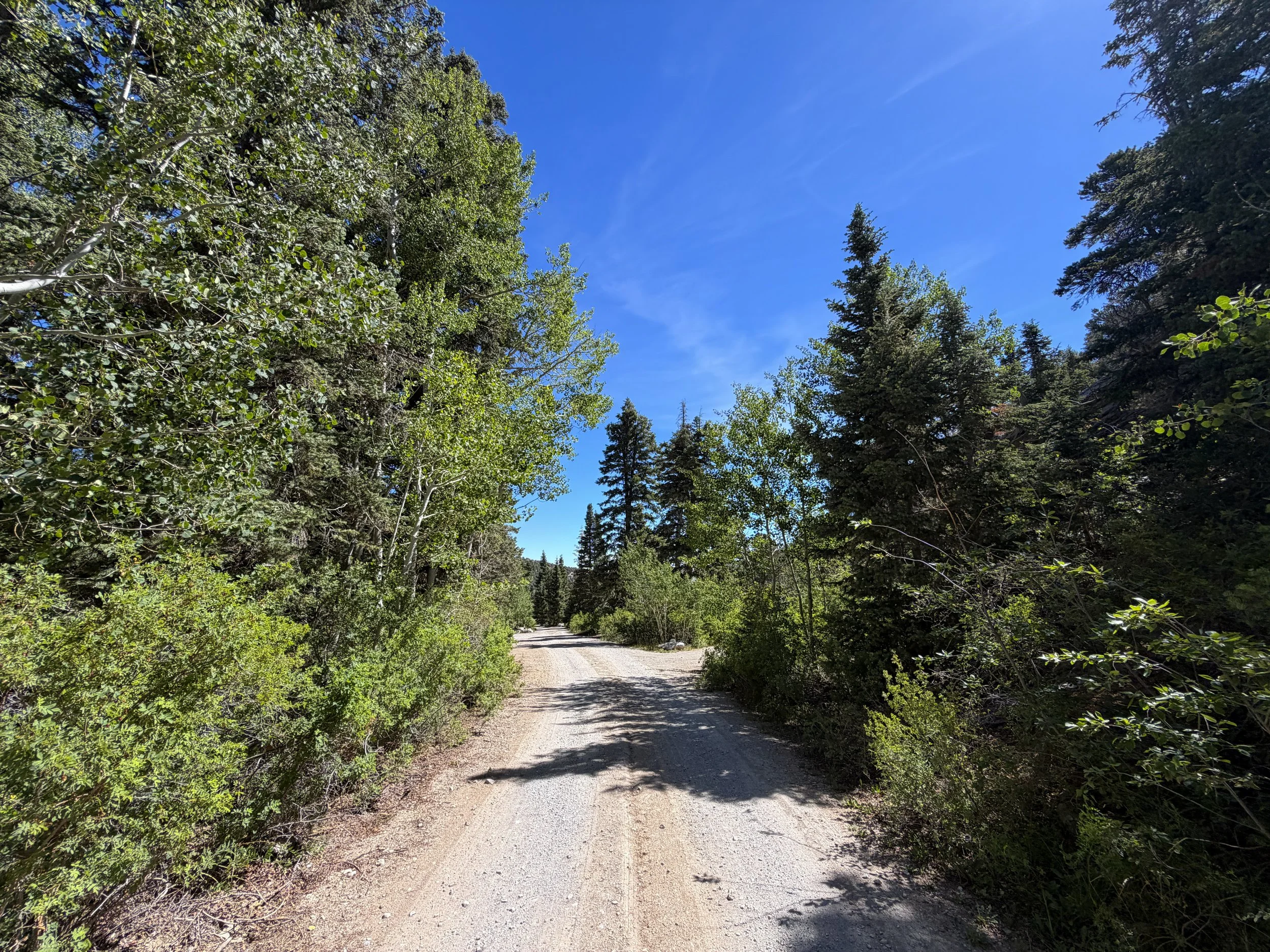 Baker Creek Campground Pole Canyon Trail Great Basin National Park Nevada