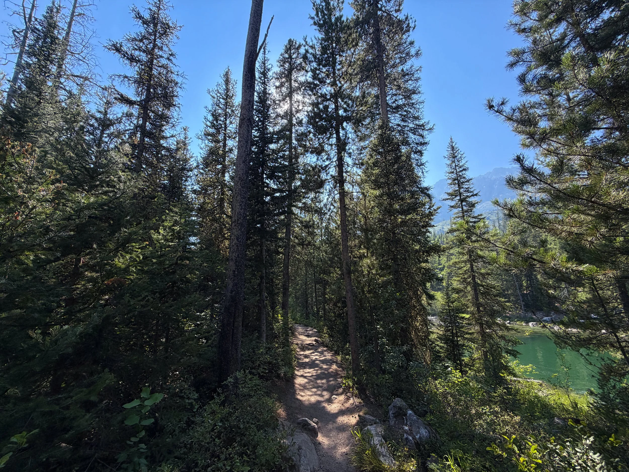 Jenny Lake Trail Grand Teton National Park Wyoming