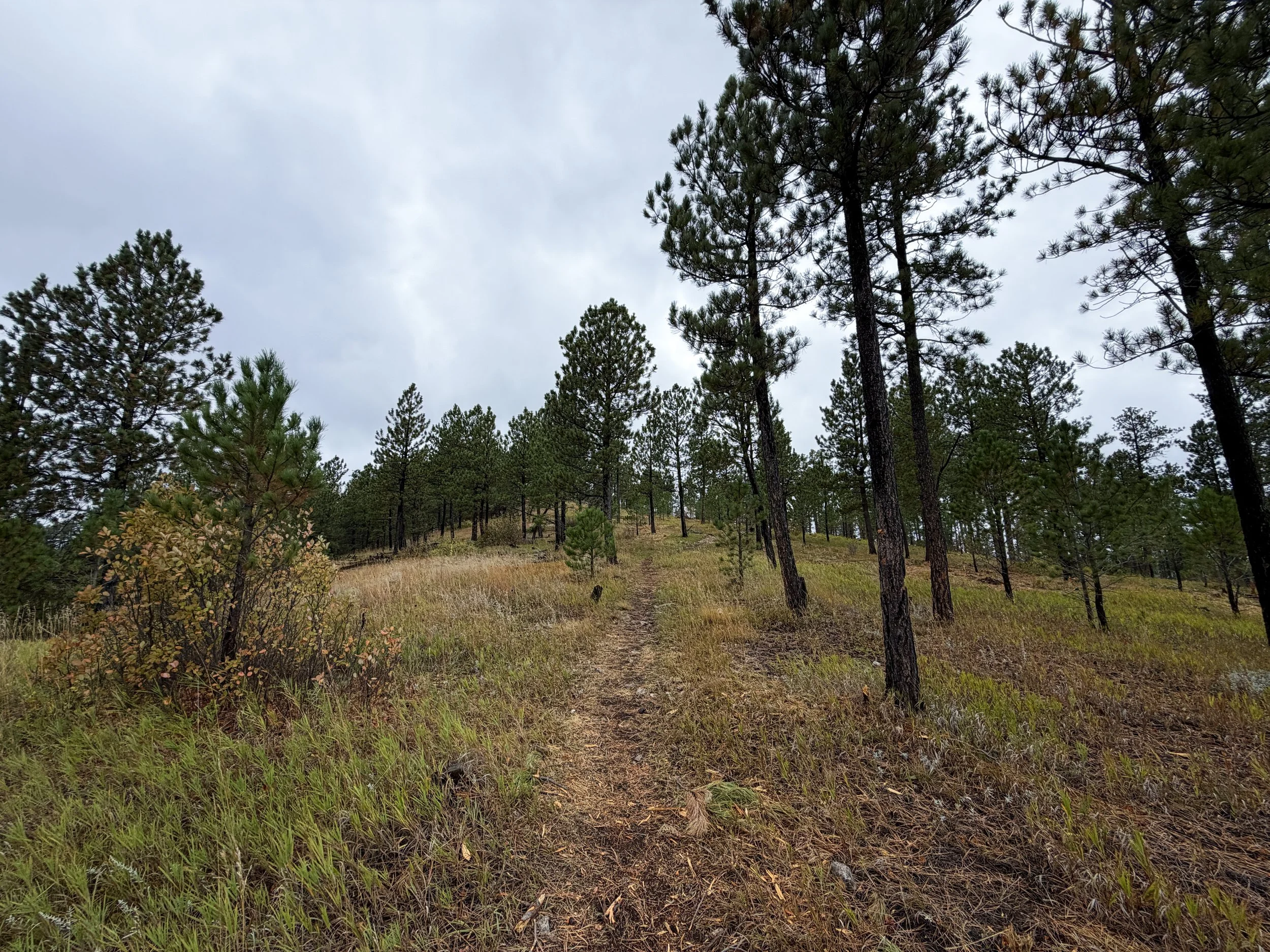 Buzzards Roost Hike Black Hills Rapid City South Dakota