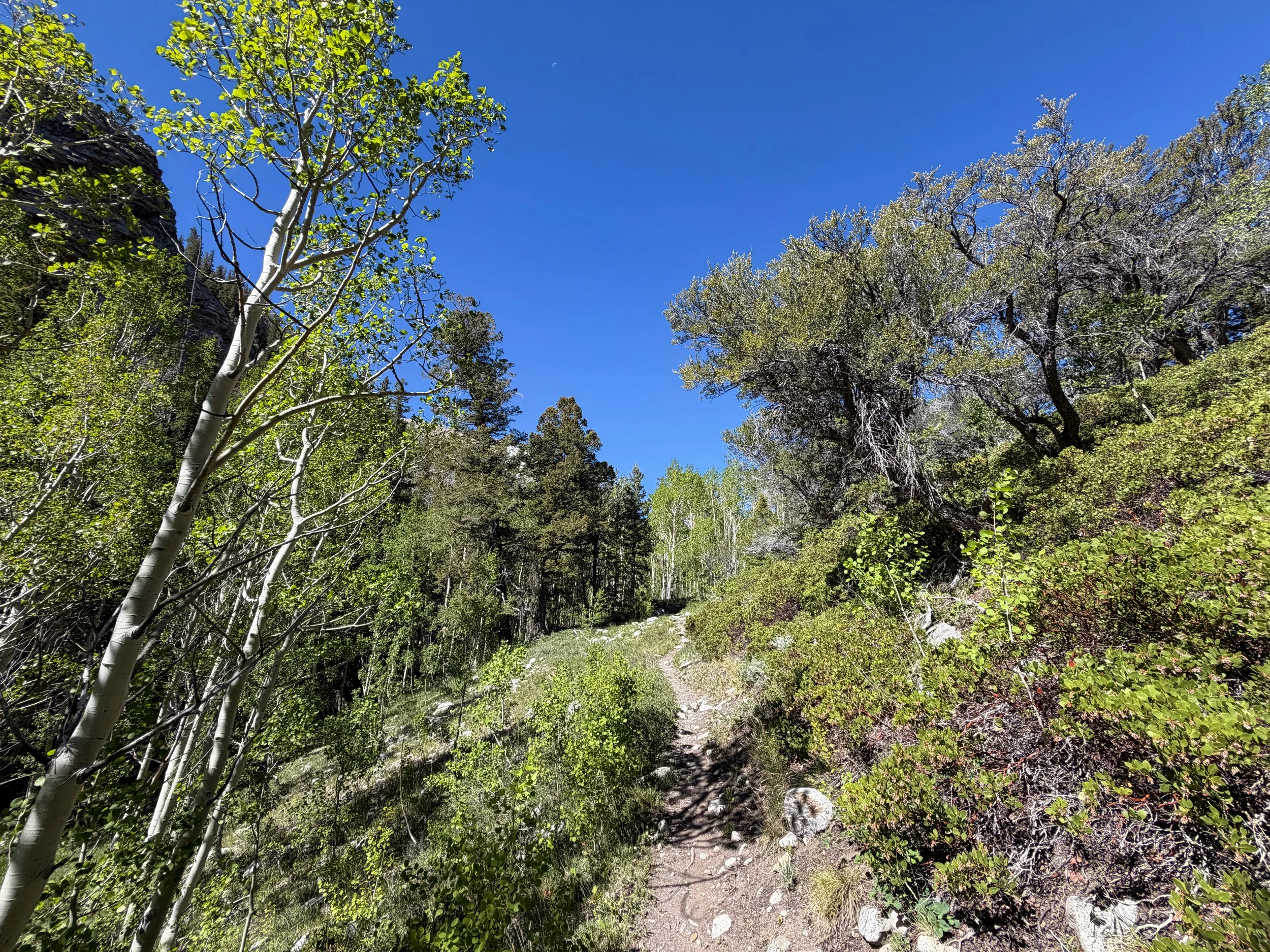 Baker Lake Hike Great Basin National Park Nevada