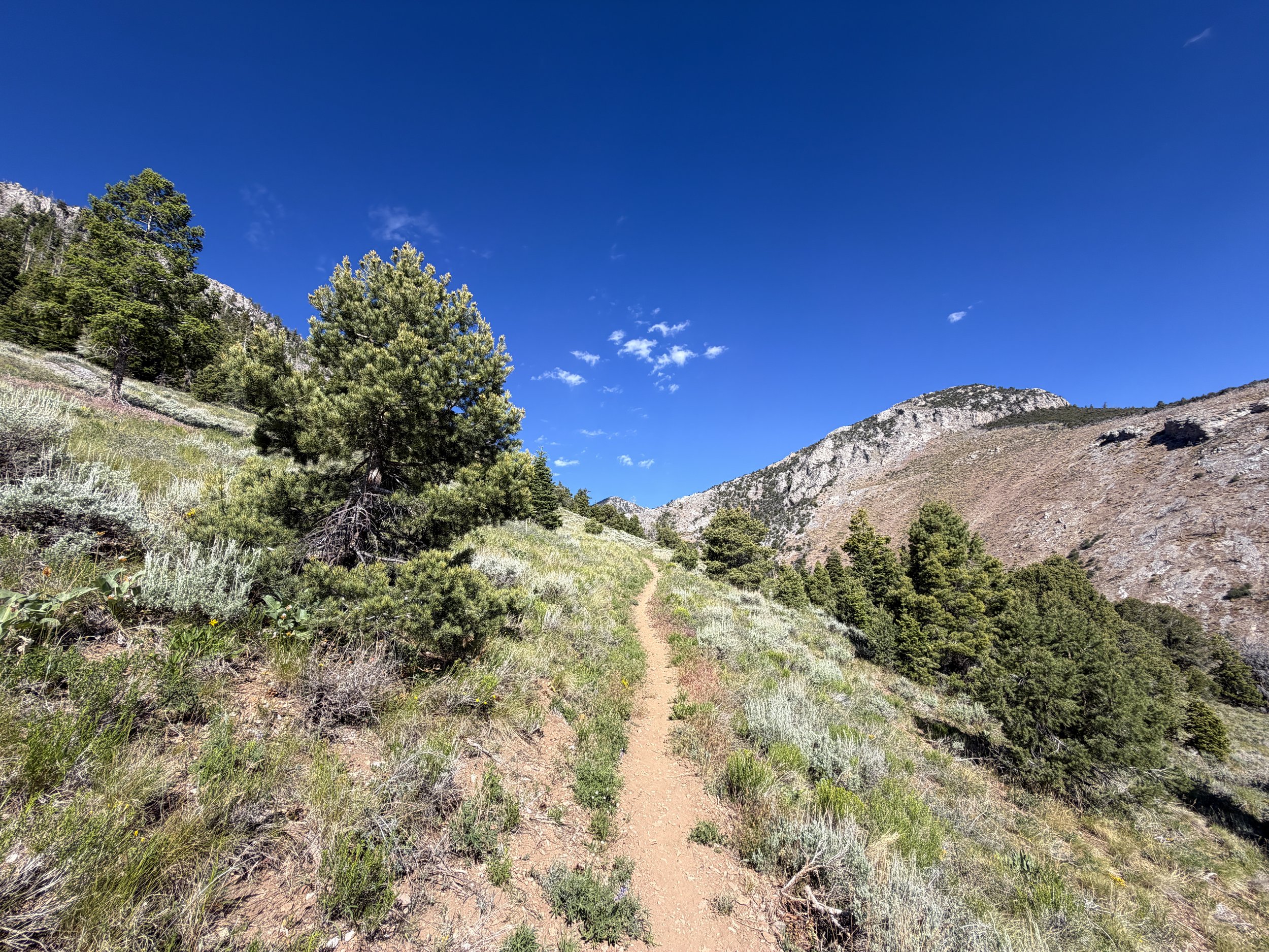Lexington Arch Trail Great Basin National Park Nevada