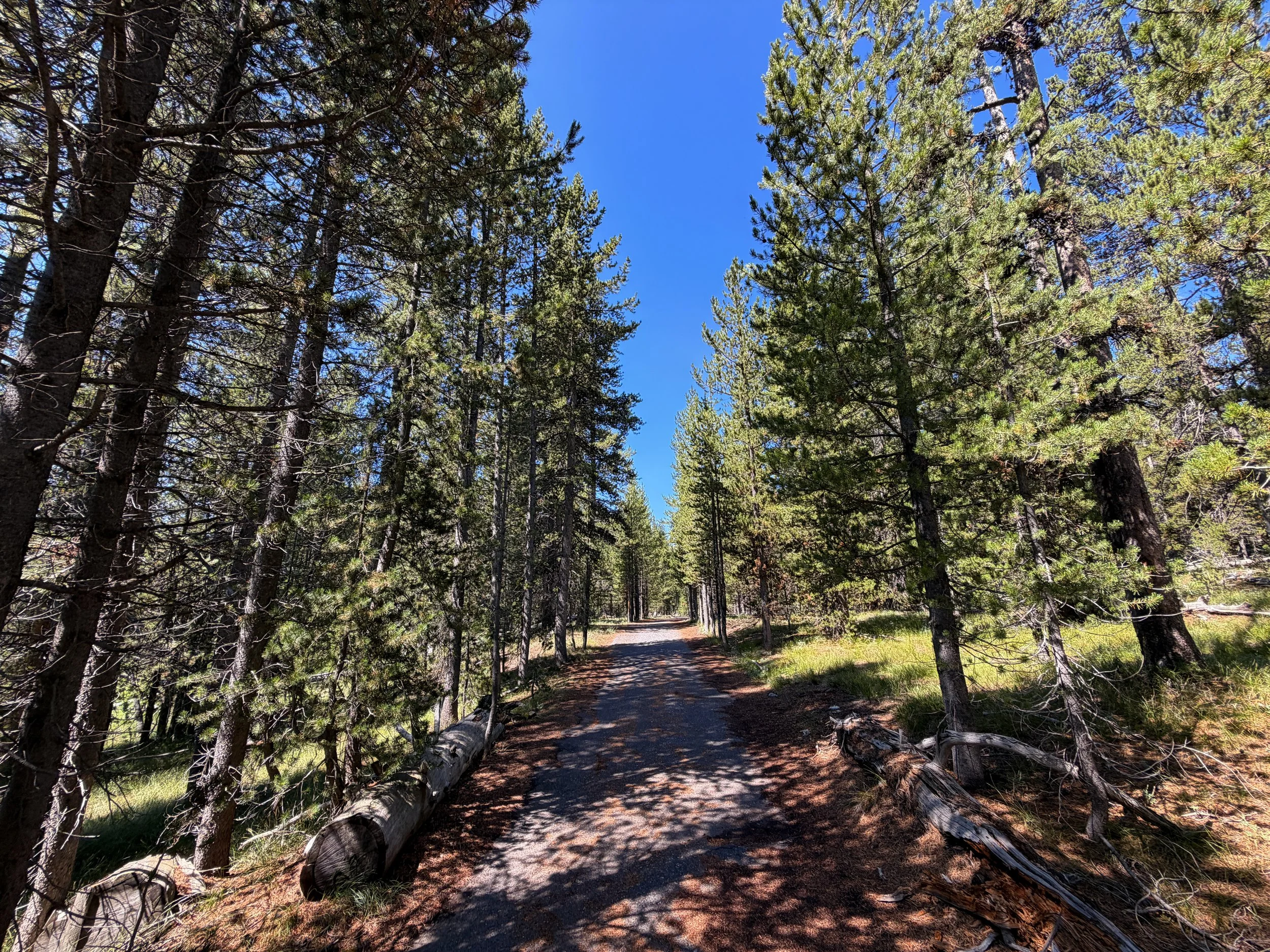 Lone Star Trail Yellowstone National Park Wyoming