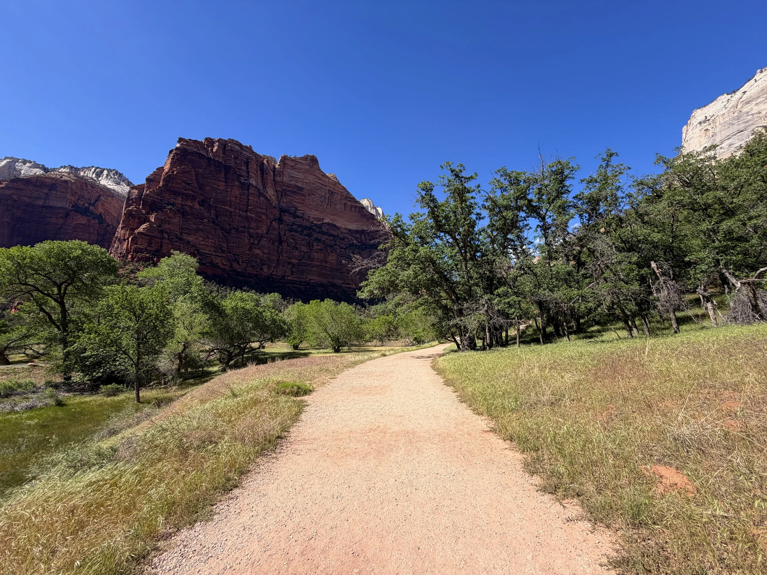 Grotto Trail Zion National Park Utah