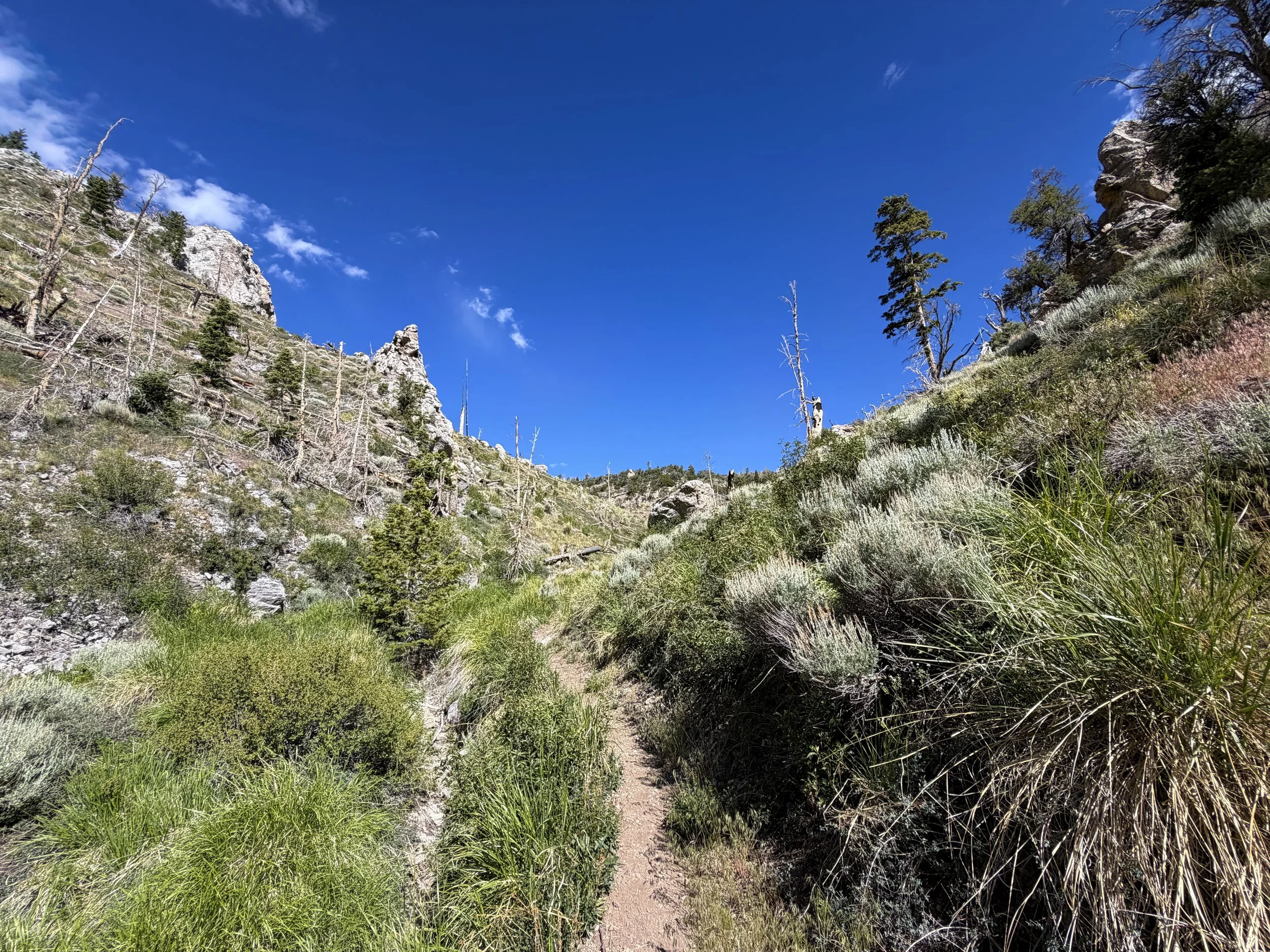Lexington Arch Trail Great Basin National Park Nevada