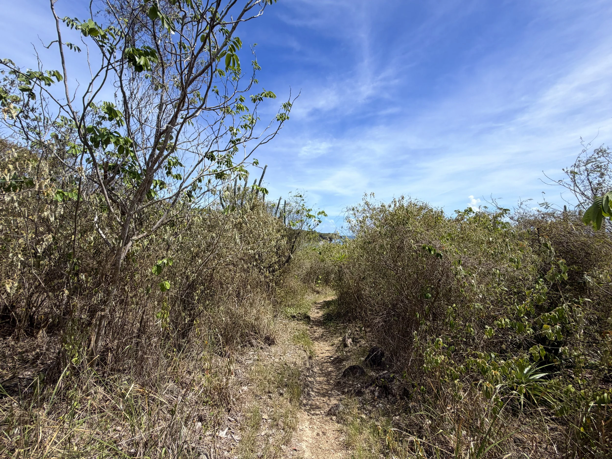 Yawzi Point Hike Virgin Islands National Park