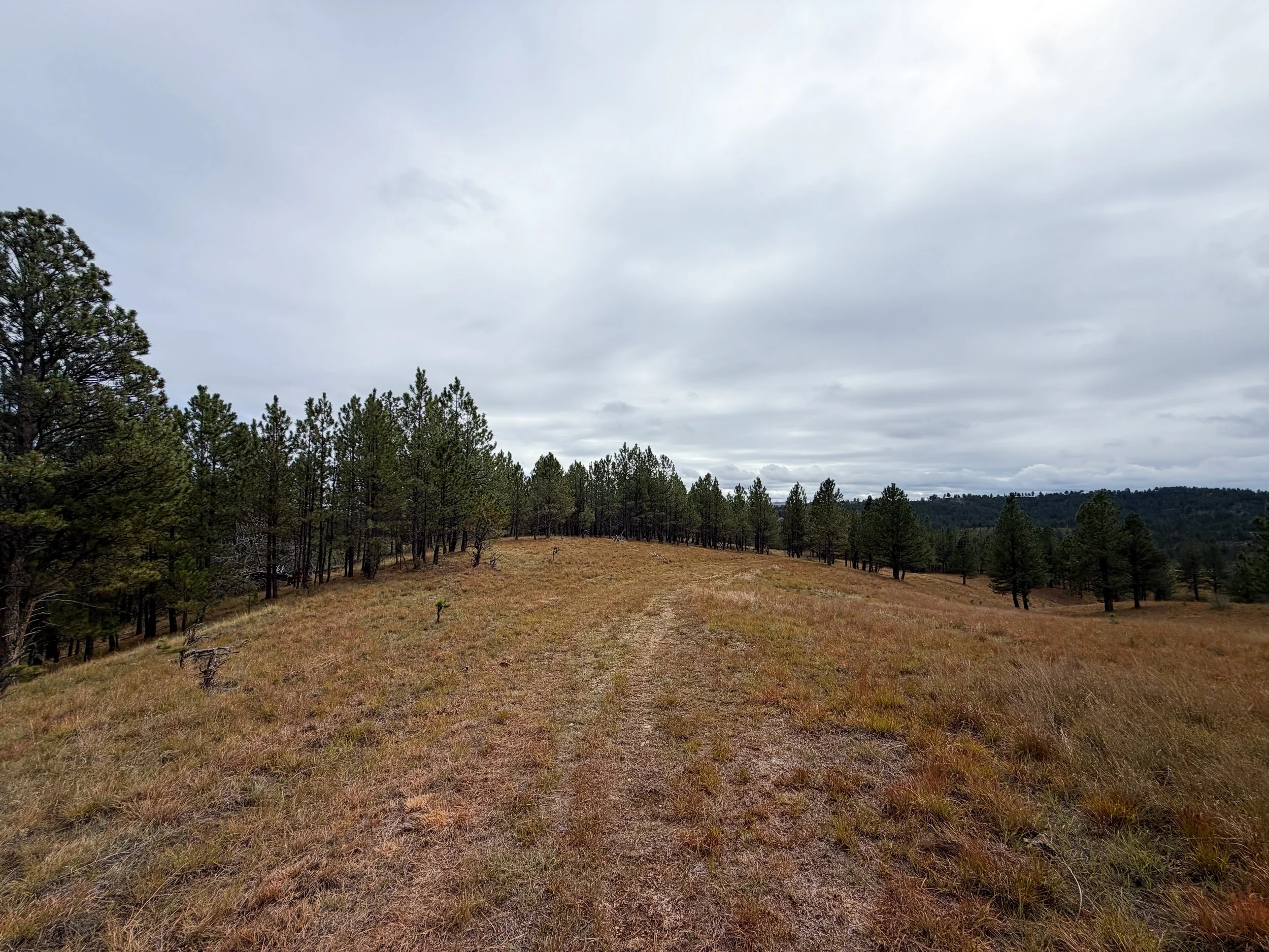 Highland Creek Trail to Wind Cave Canyon Wind Cave National Park South Dakota