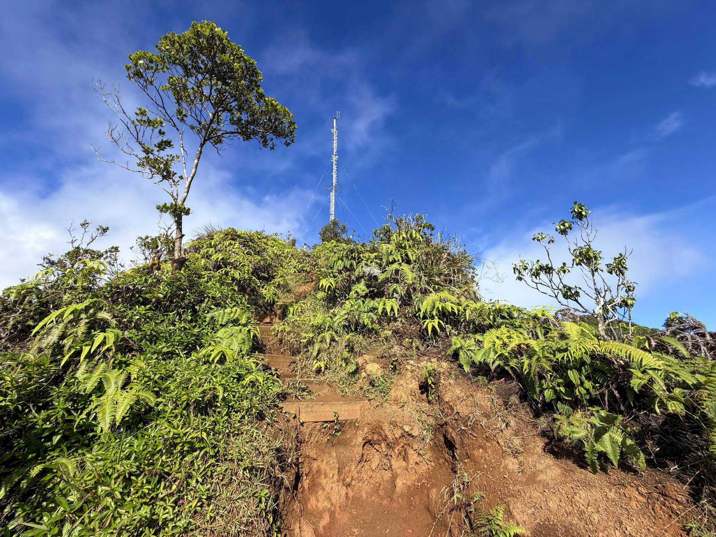 Wiliwilinui Ridge Trail Oahu Hawaii
