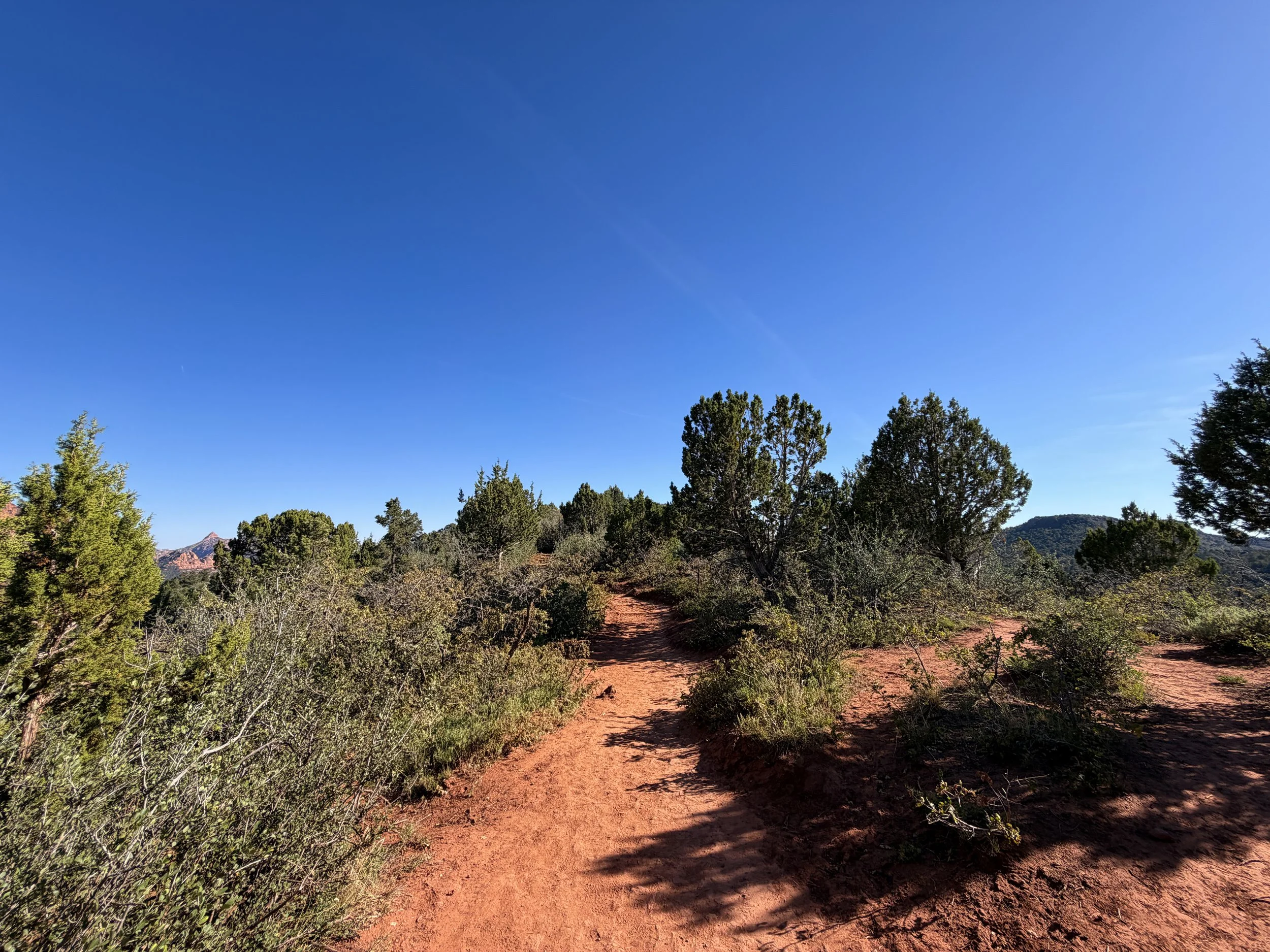 Timber Creek Overlook Trail Zion National Park Utah