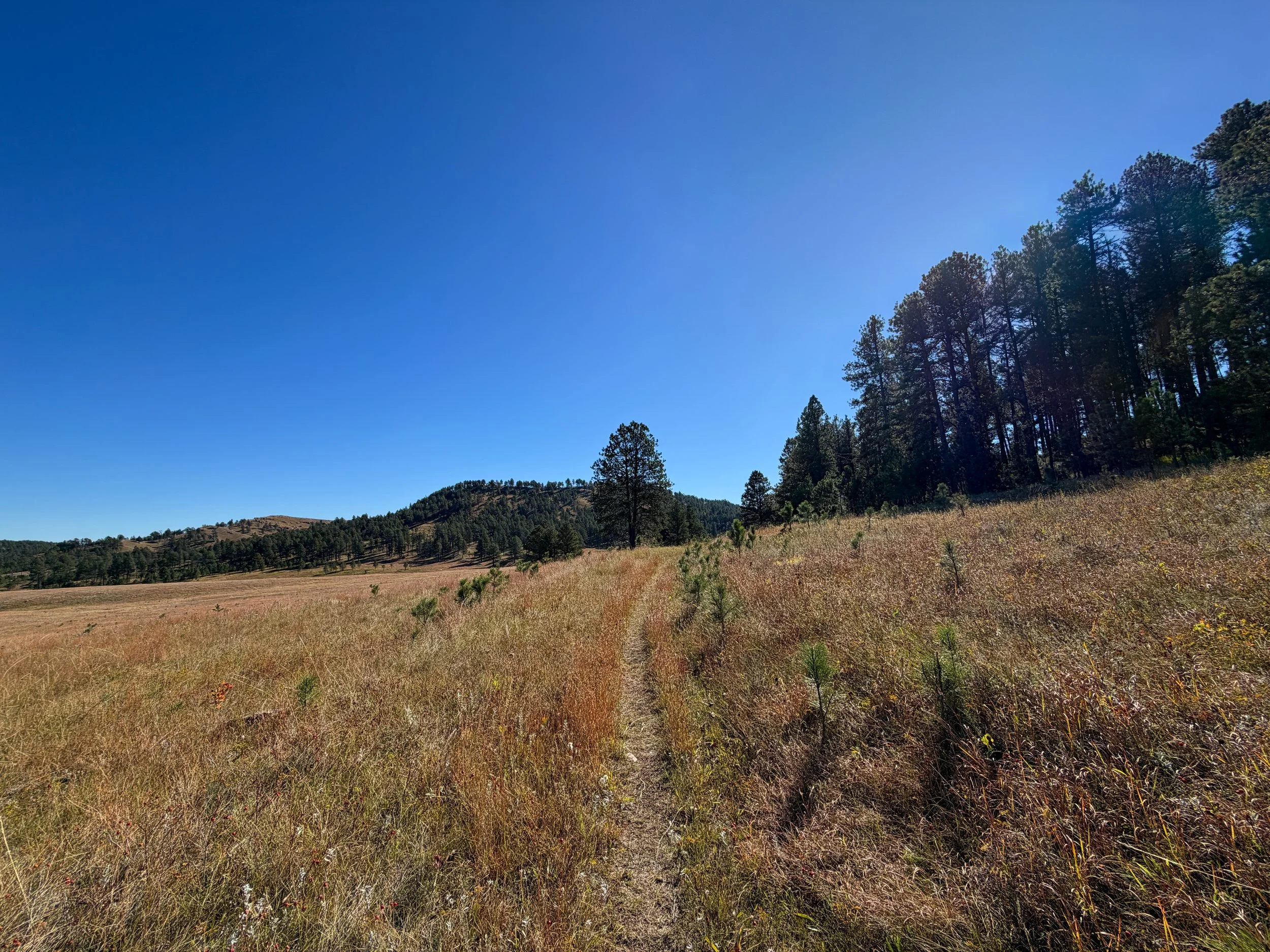 Sanctuary Trail Wind Cave National Park South Dakota