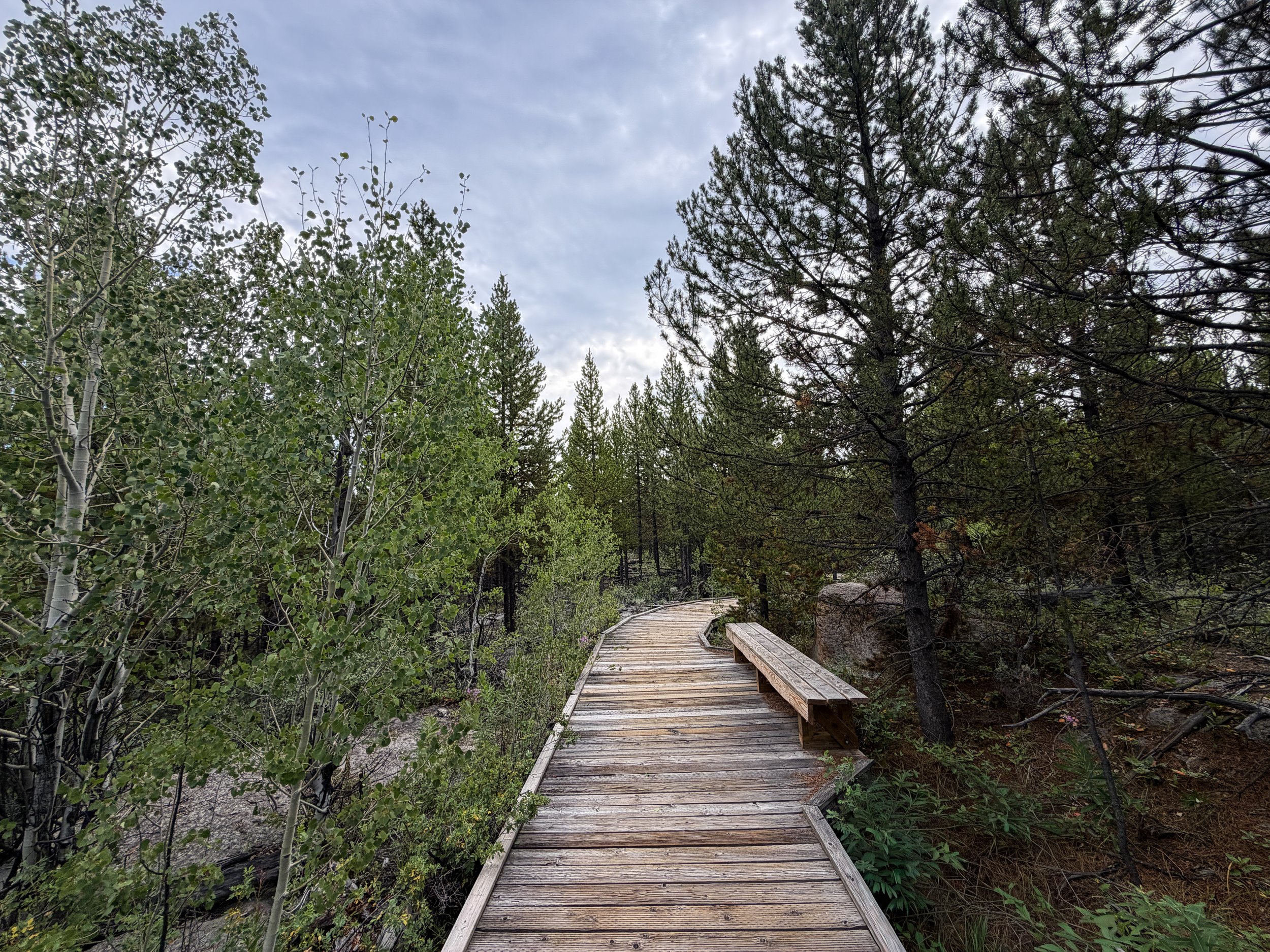 Forces of the Northern Range Boardwalk Trail Yellowstone National Park Wyoming