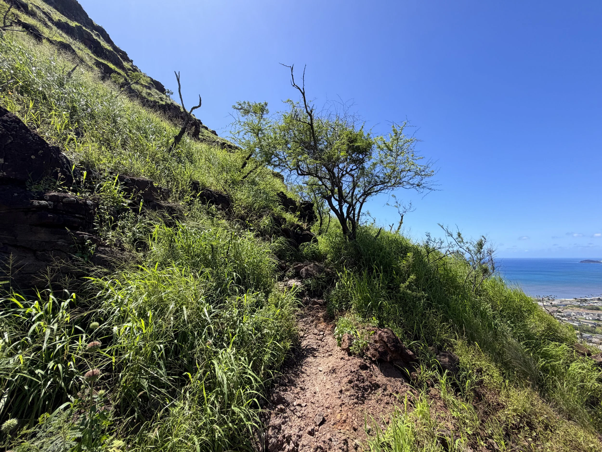 Pink Pillbox Hike Oahu Hawaii