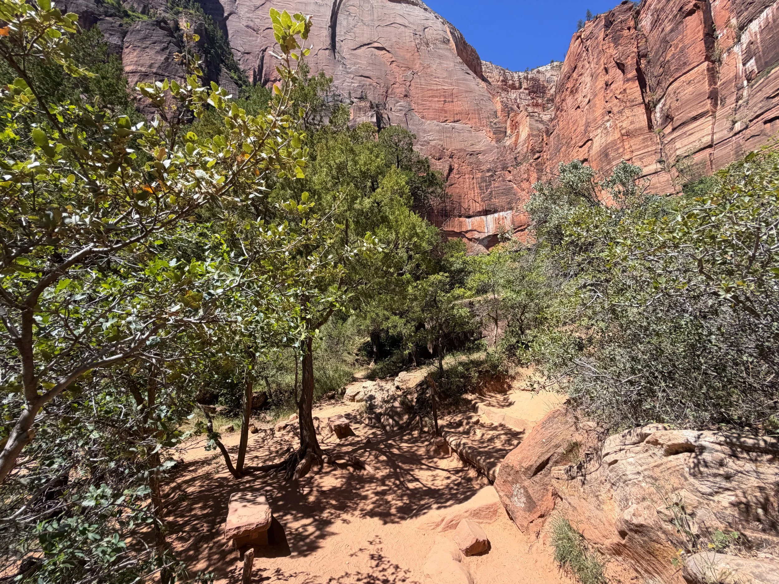 Middle Emerald Pools Trail Zion National Park Utah