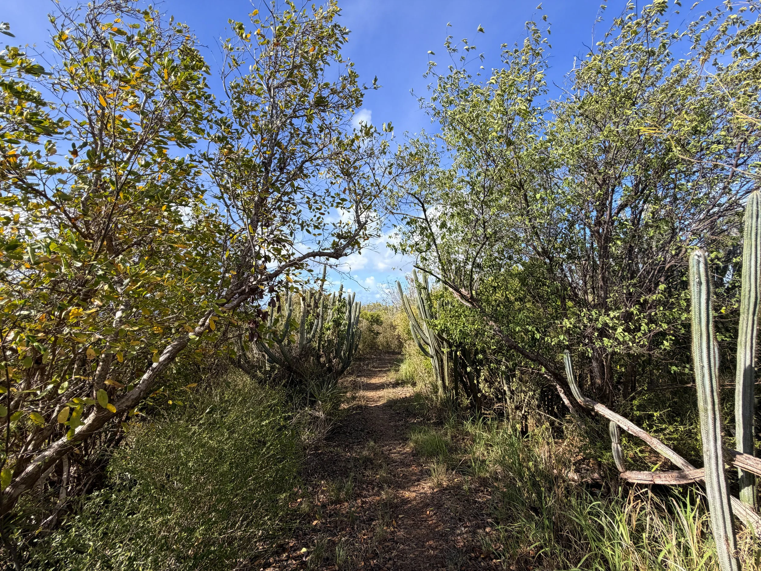 Tektite Trail Virgin Islands National Park