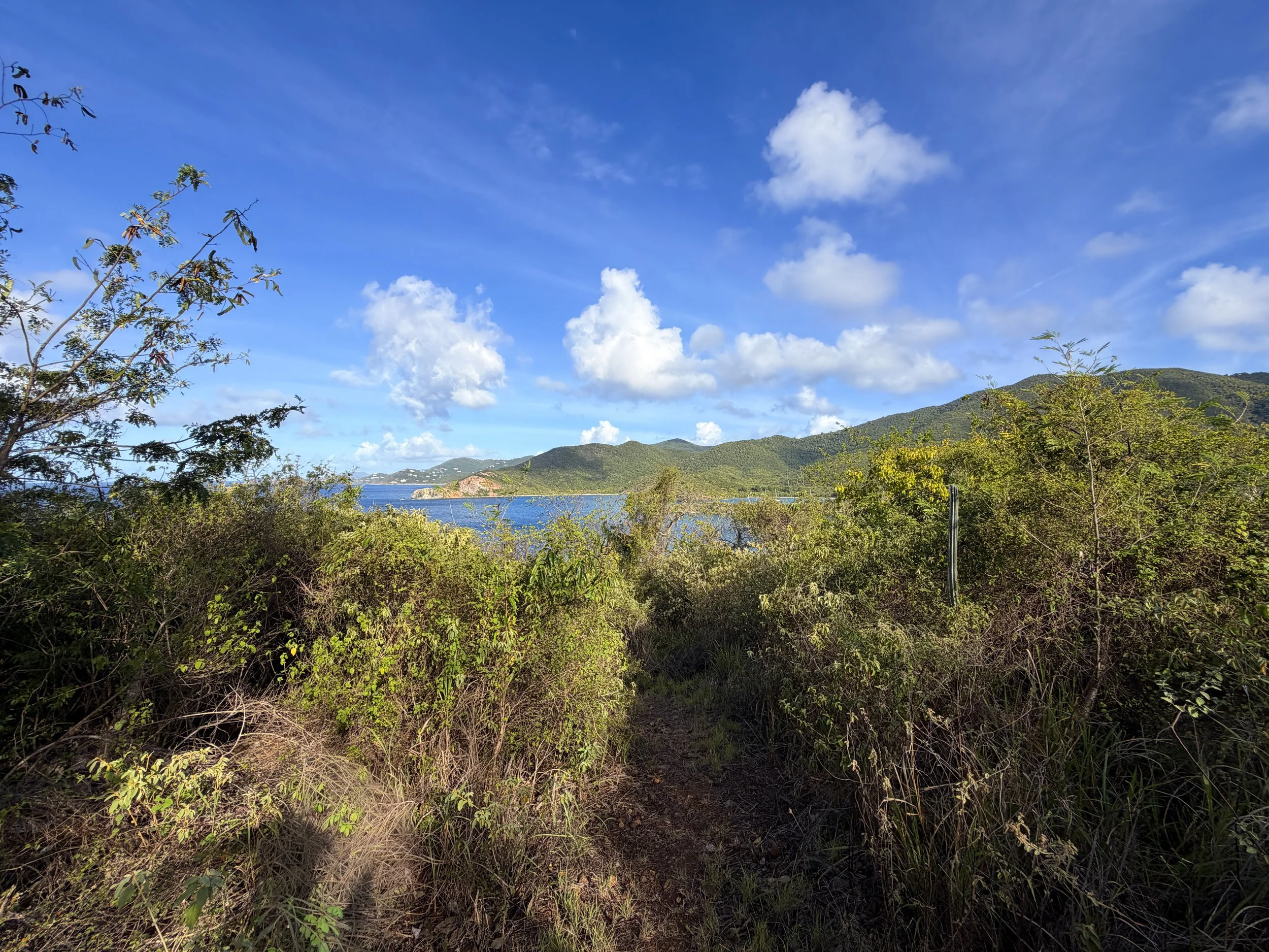 Tektite Trail Virgin Islands National Park