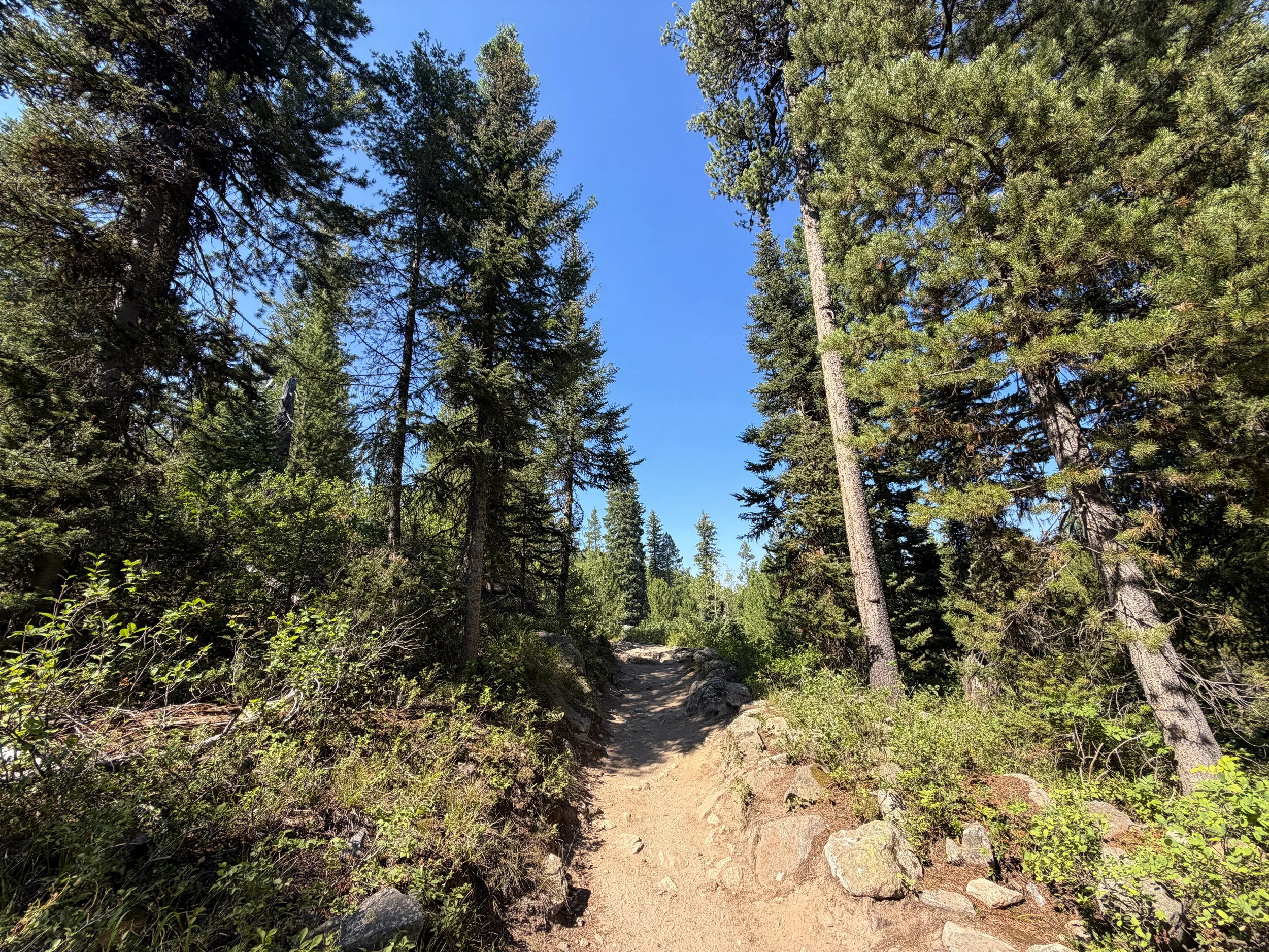 Jenny Lake Loop Hike Grand Teton National Park Wyoming