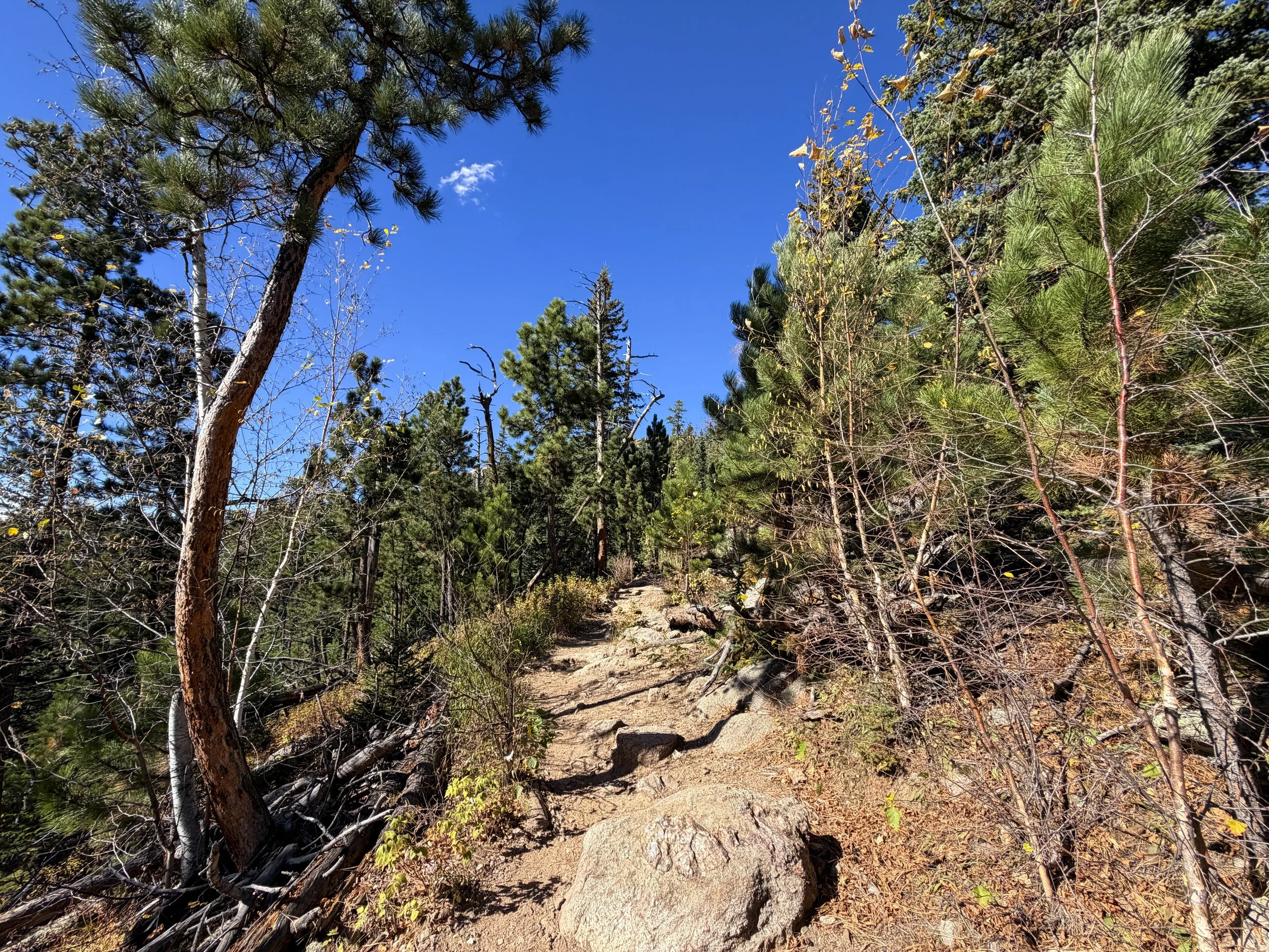 Black Elk Peak Trail via Custer State Park Black Hills South Dakota