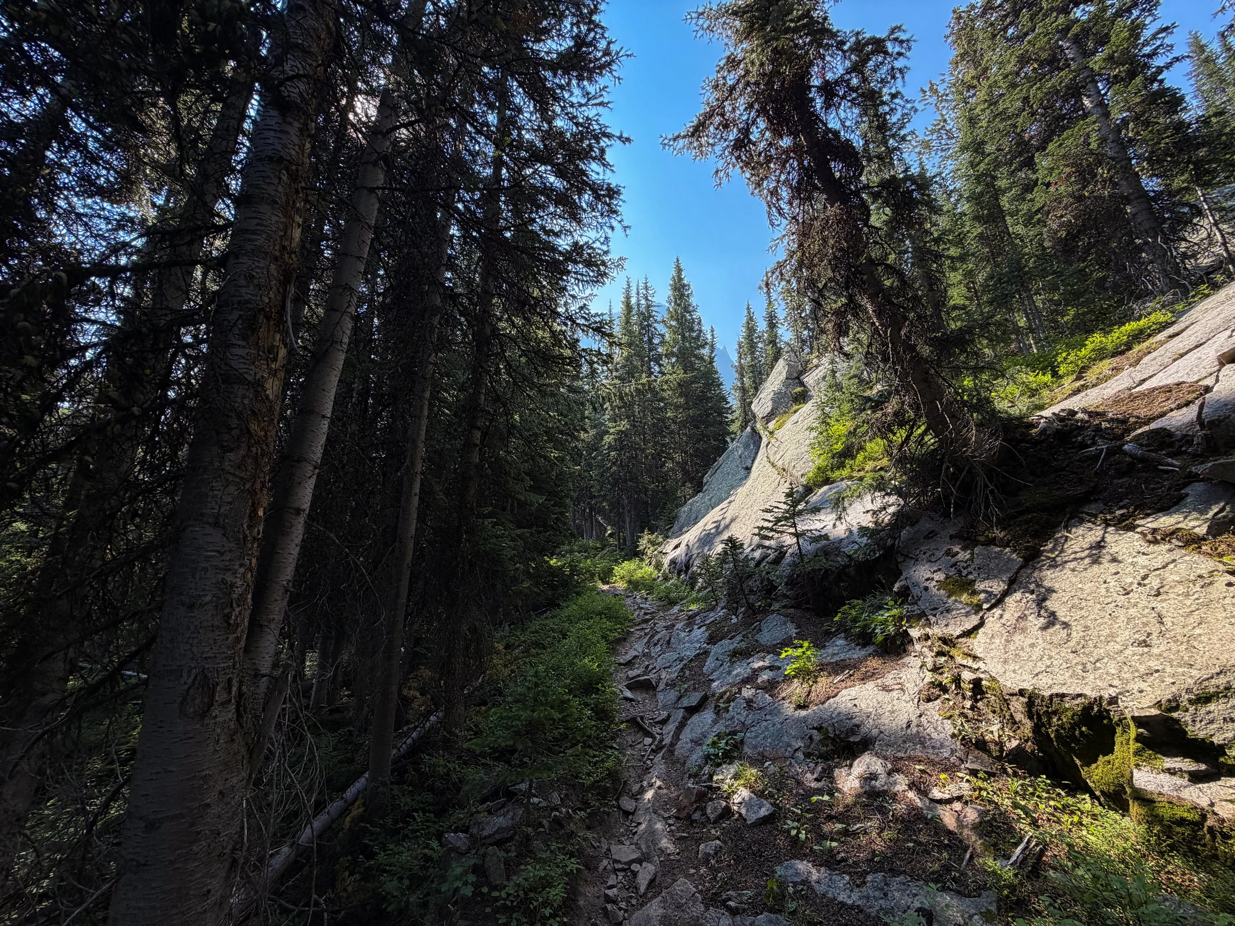 East Rosebud Trail The Beaten Path Beartooth Mountains Montana