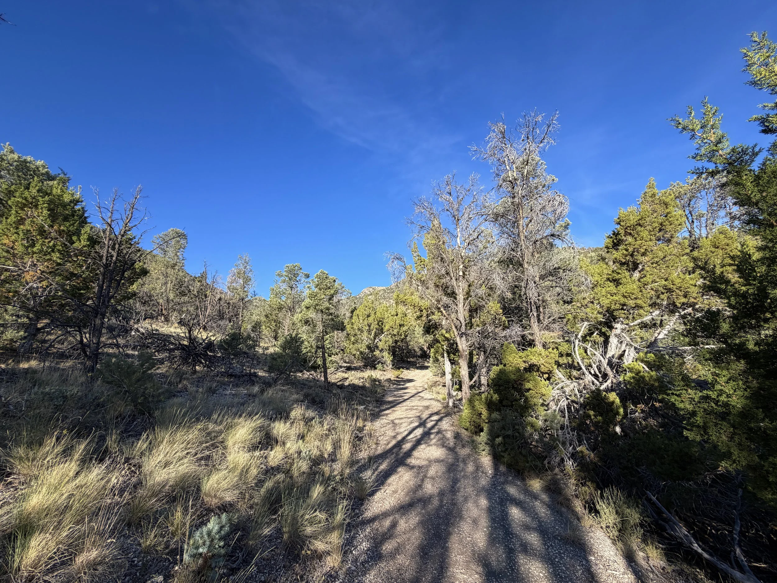 Pole Canyon Trail Great Basin National Park Nevada