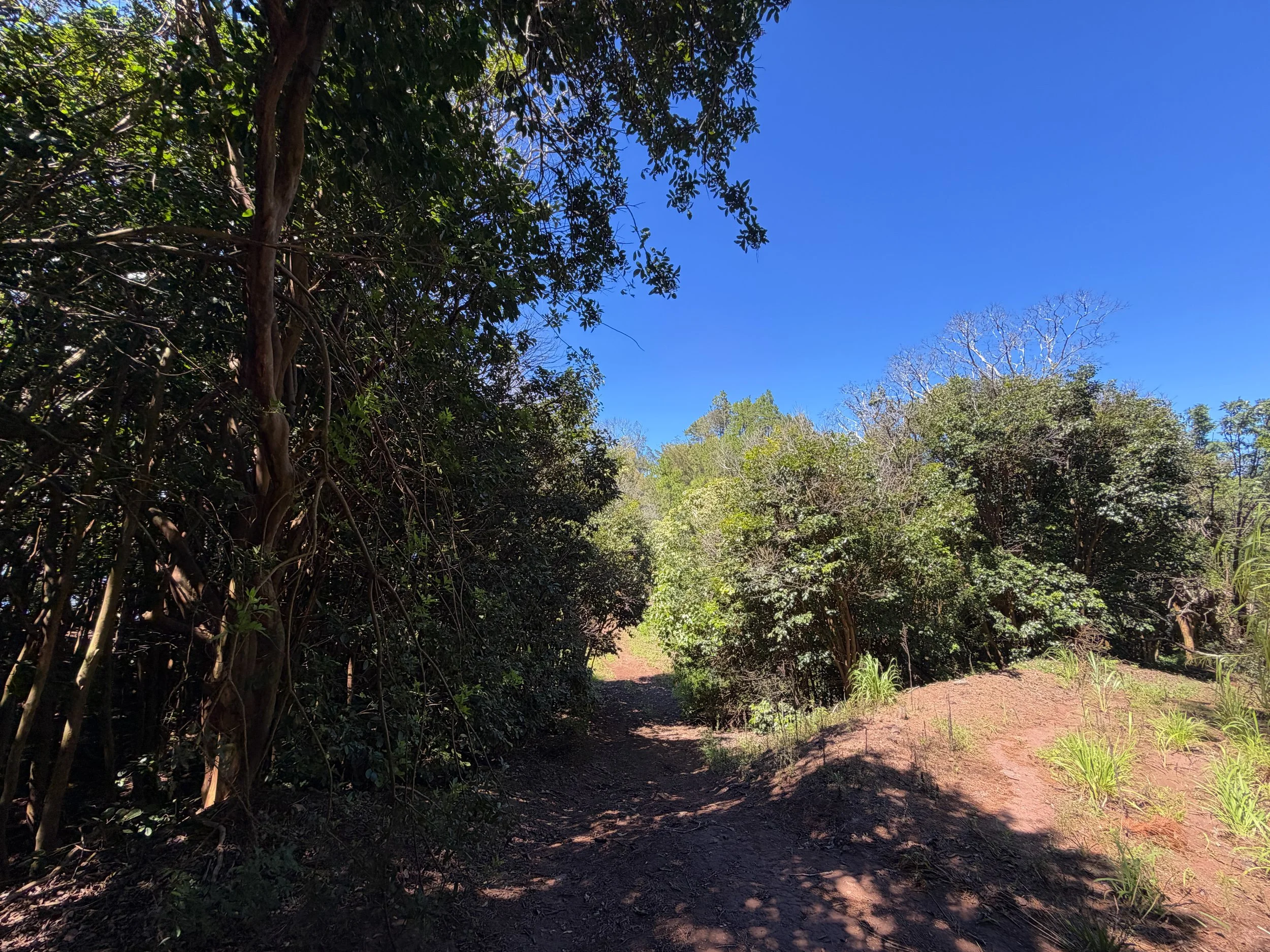 Kuaokala Trail Oahu Hawaii
