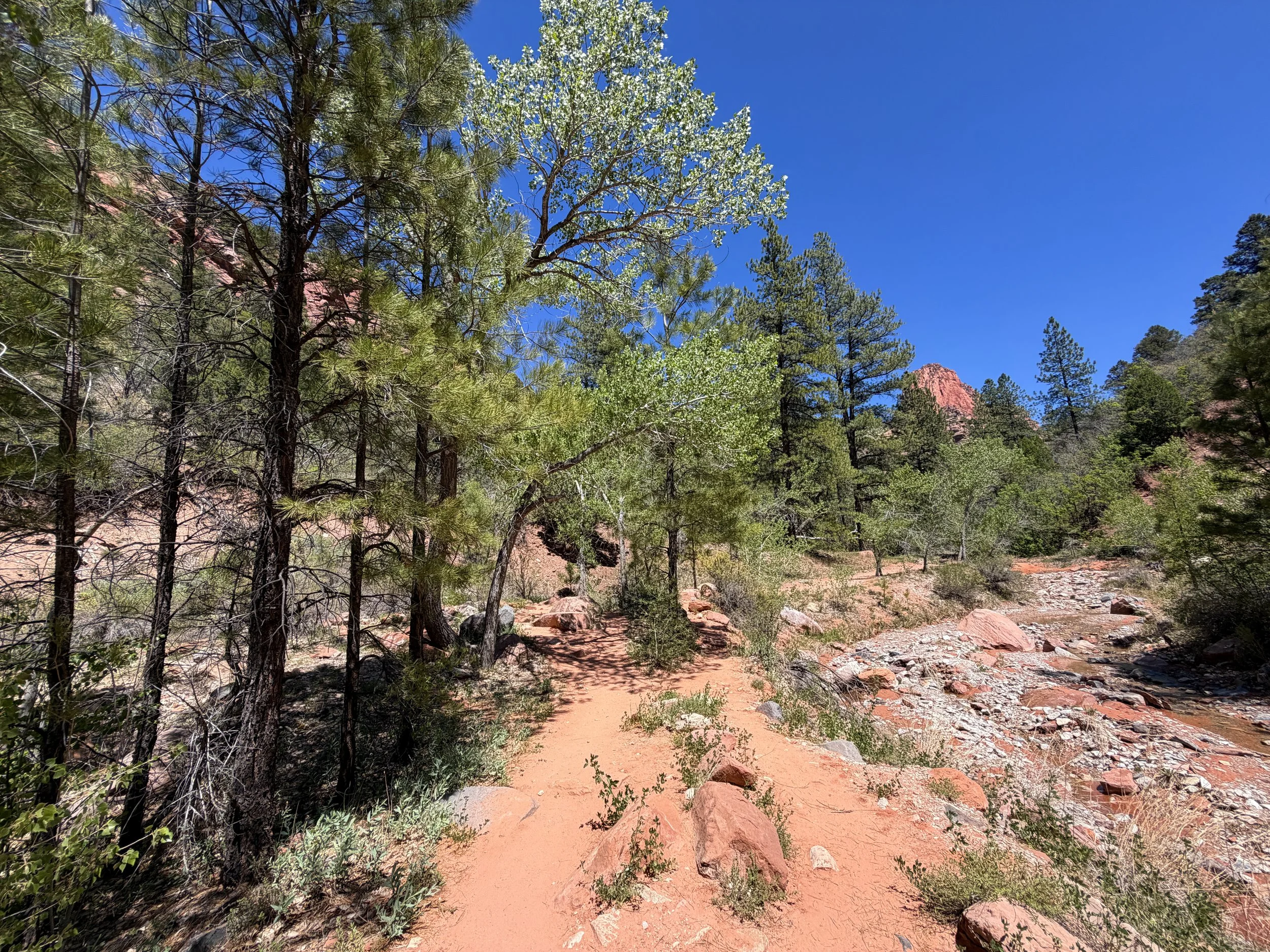 Middle Taylor Creek Trail Zion National Park Utah
