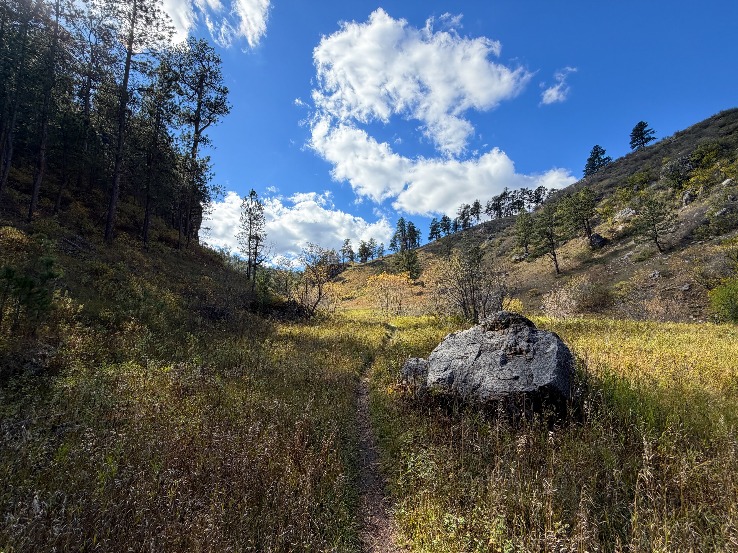 Lookout Point Loop Trail Wind Cave National Park South Dakota