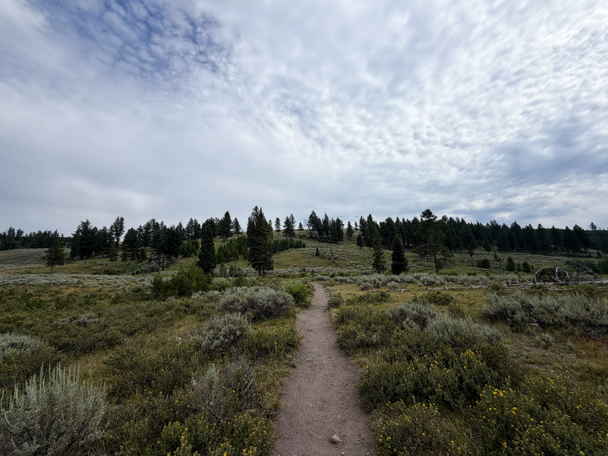 Wraith Falls Trail Yellowstone National Park Wyoming