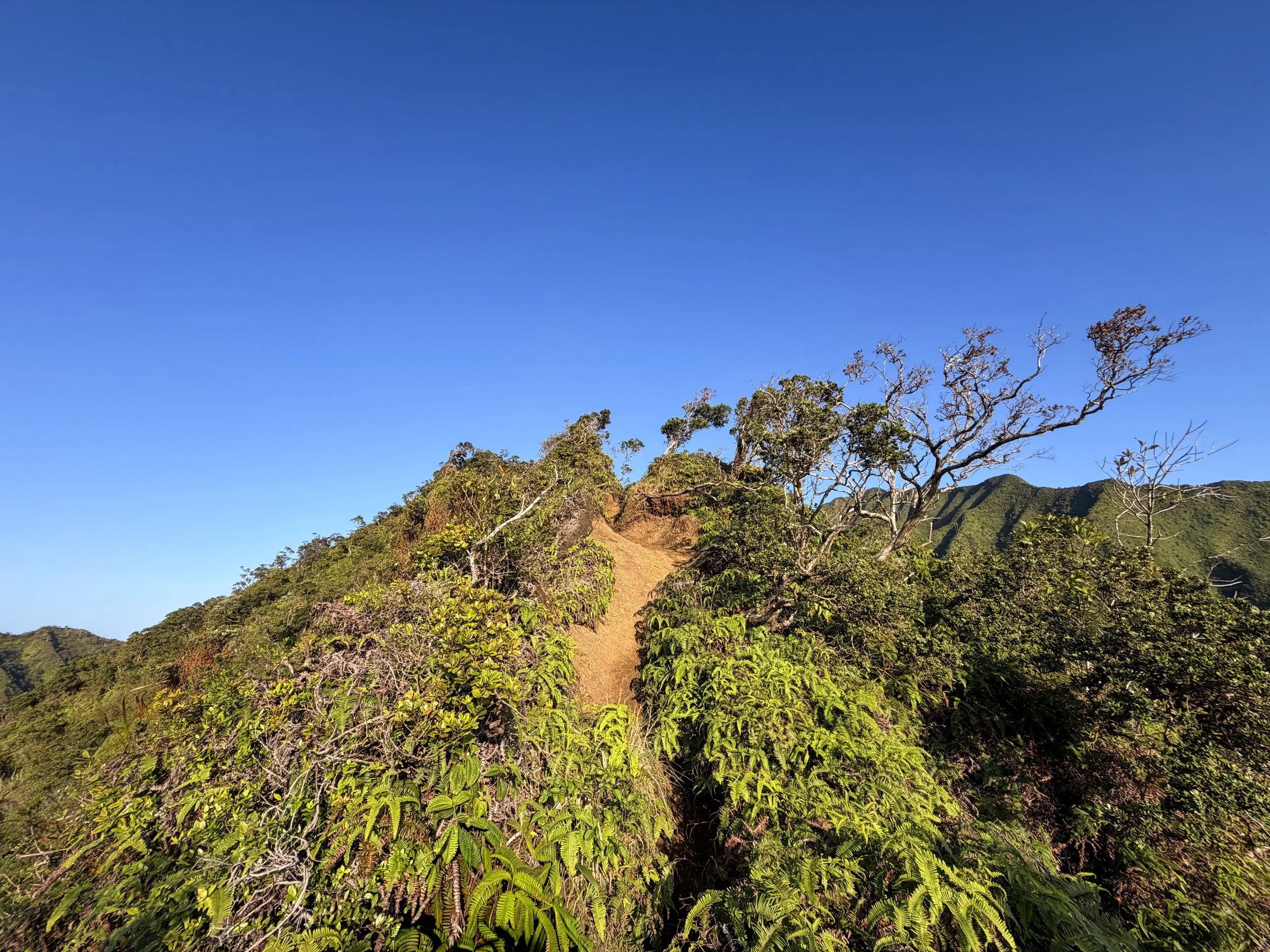 Moanalua Middle Ridge Hike Oahu Hawaii