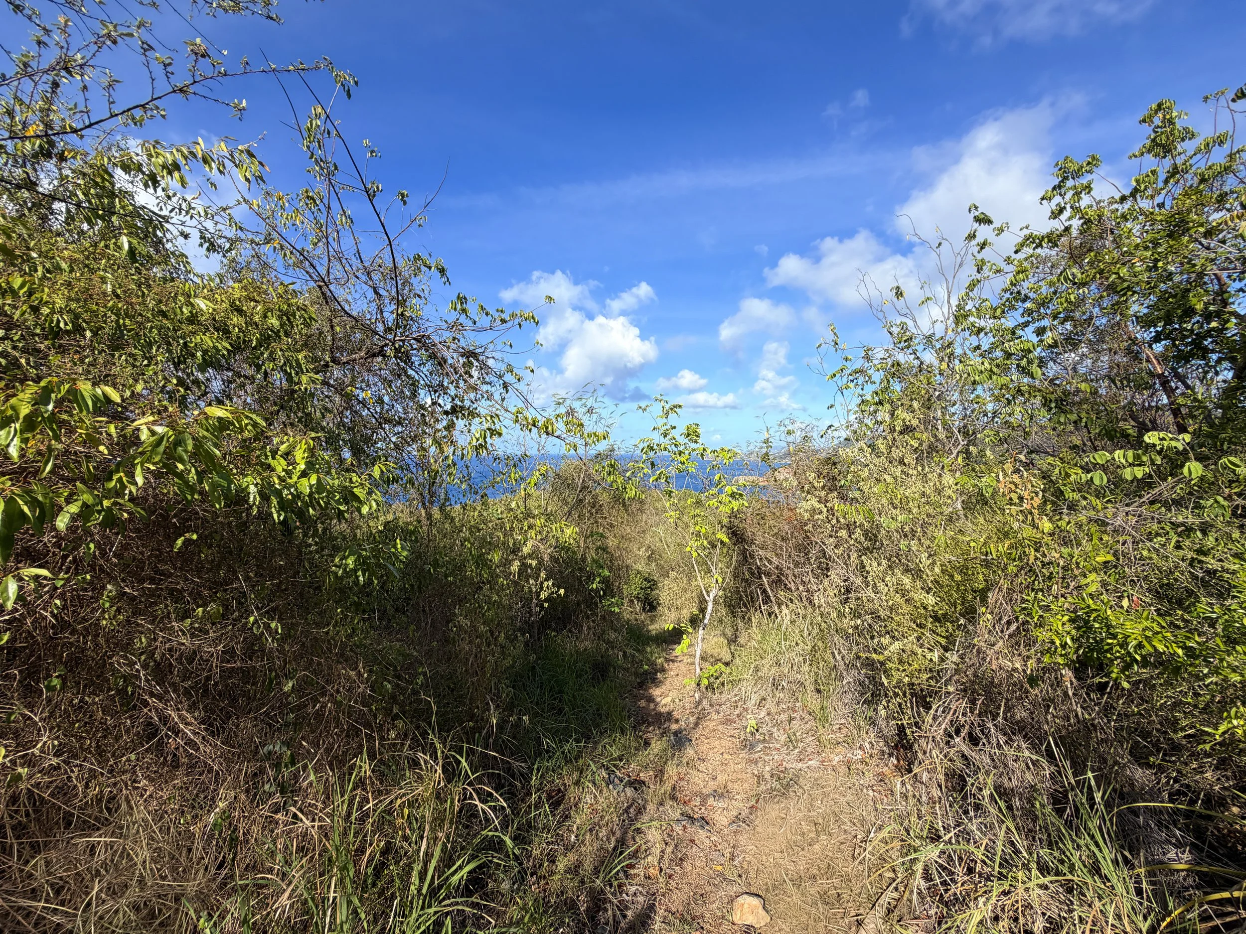 Tektite Trail Virgin Islands National Park