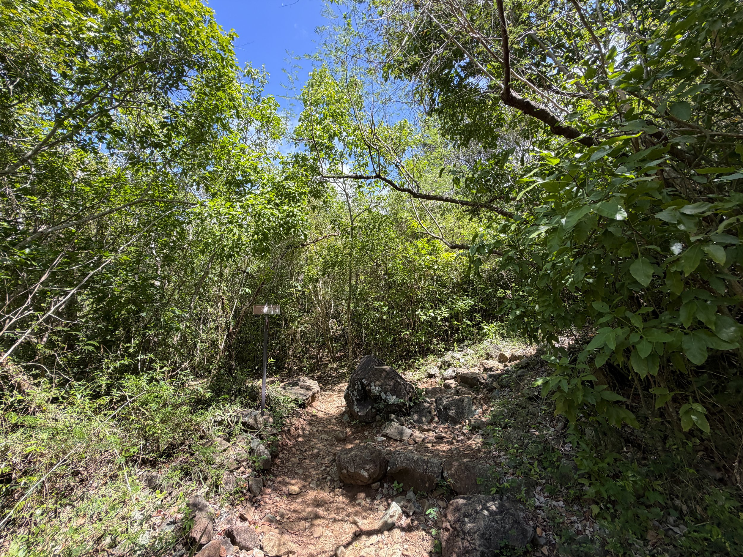 Lind Point Loop Trail Virgin Islands National Park