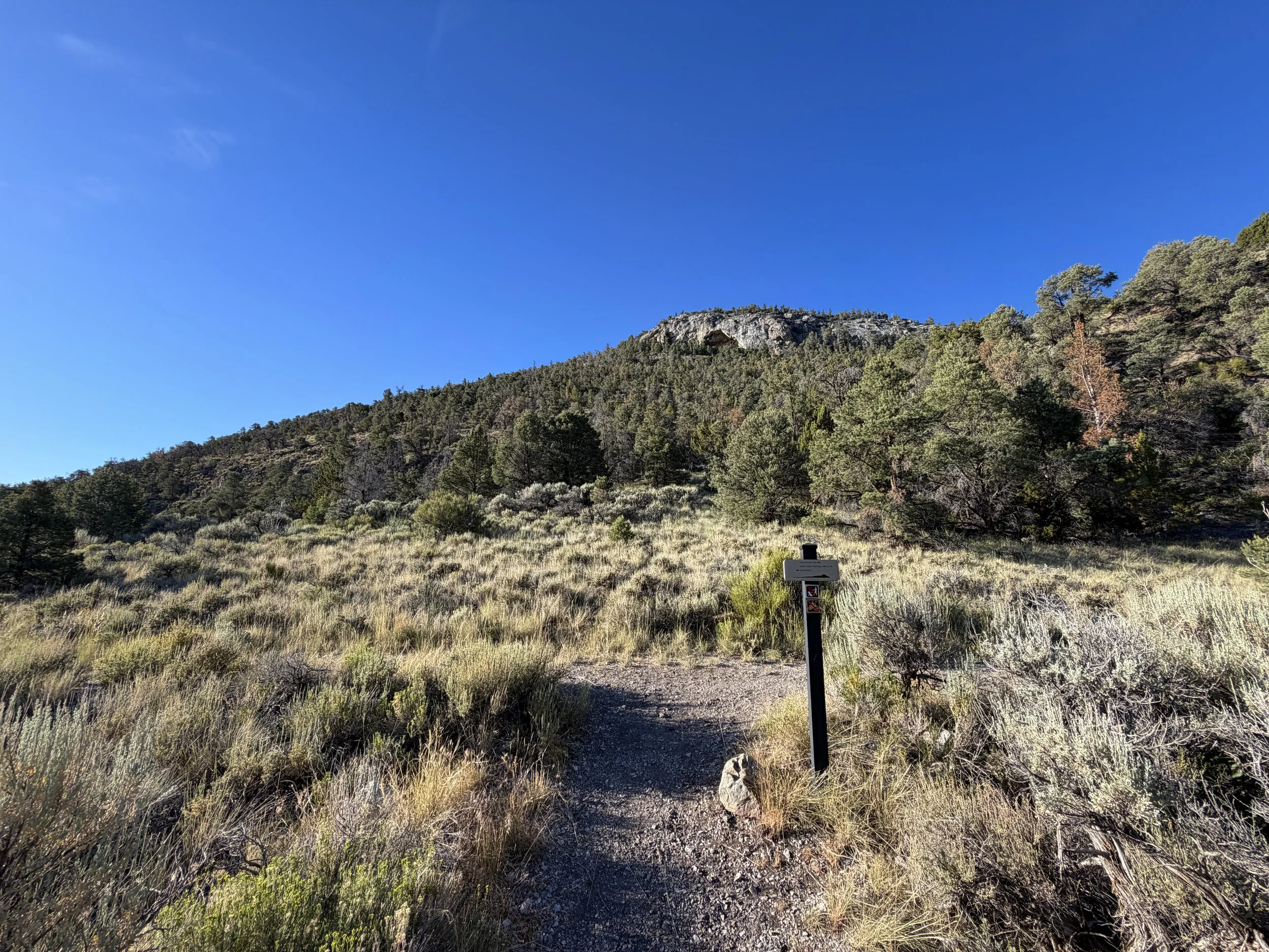Pole Canyon Trail Great Basin National Park Nevada