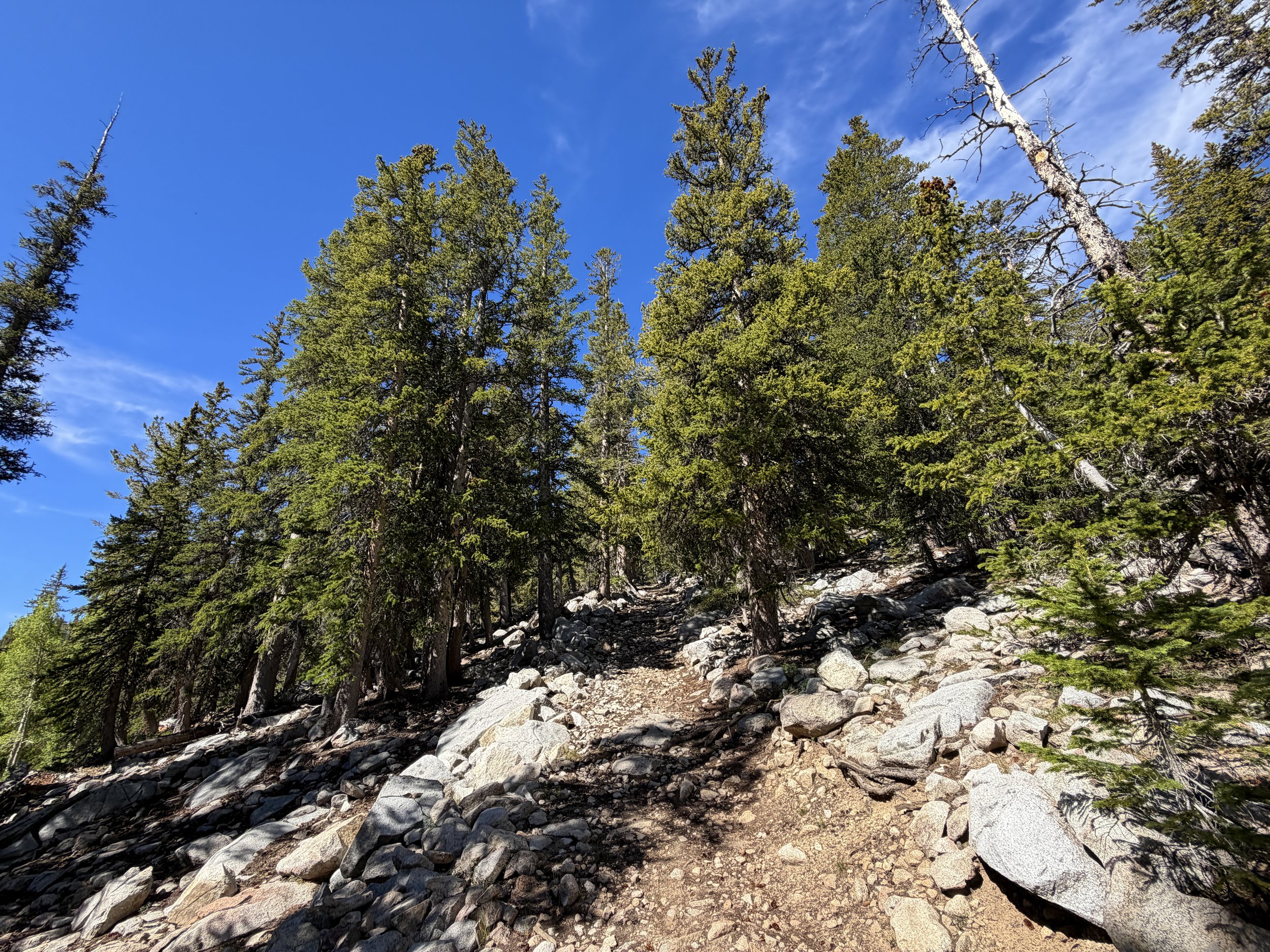 Johnson Lake Trail Great Basin National Park Nevada
