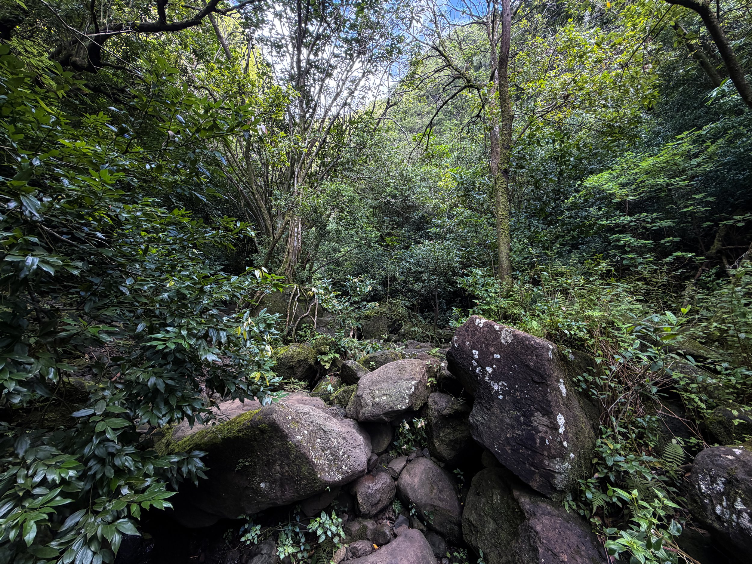 Lulumahu Falls Trail Oahu Hawaii