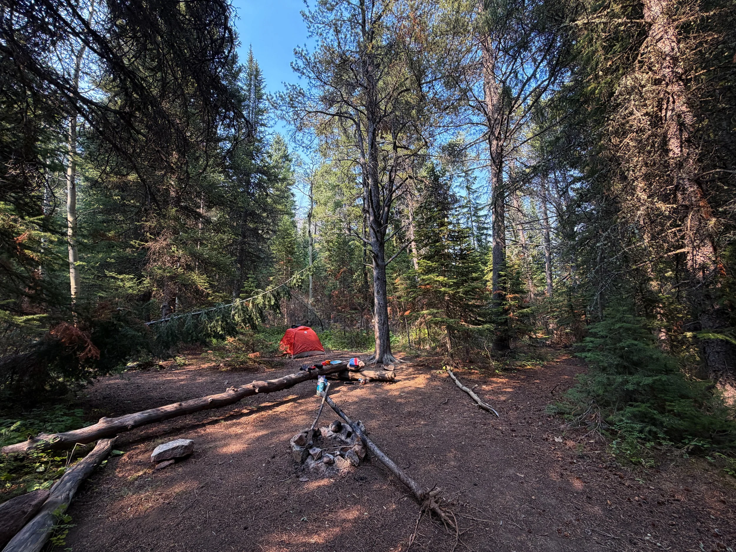 Rainbow Lake Campsites Beaten Path Trail Beartooth Mountains Montana