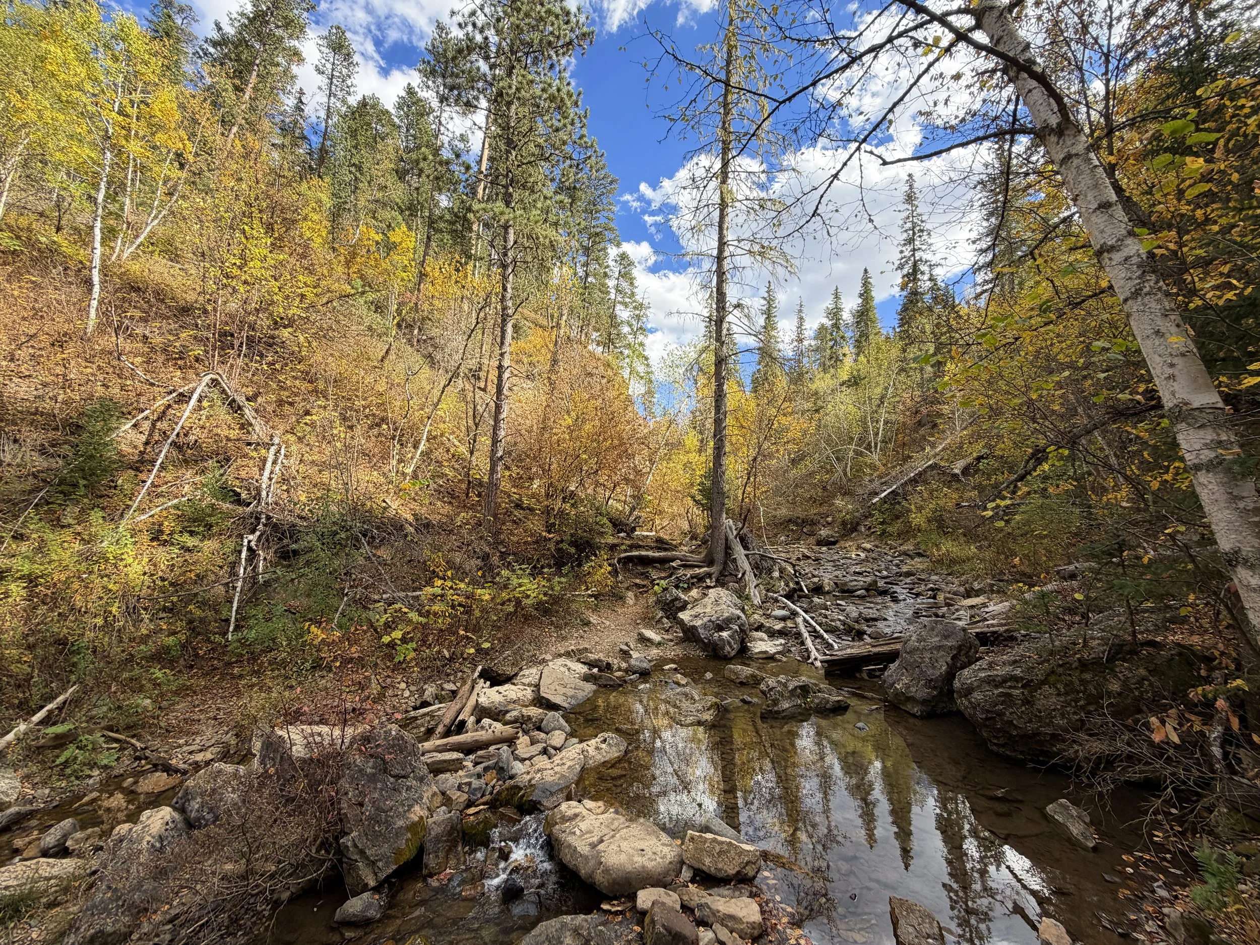 Devils Bathtub Trail Spearfish Canyon Black Hills South Dakota