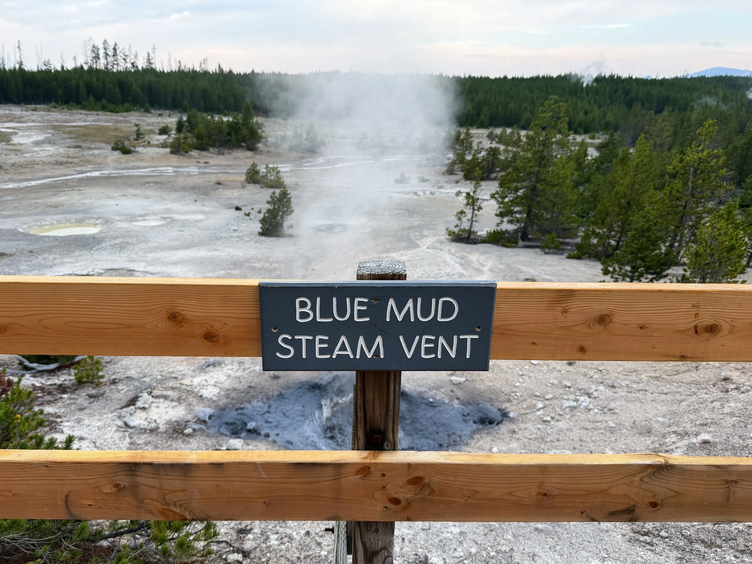 Blue Mud Steam Vent Norris Geyser Basin Trail Yellowstone National Park Wyoming