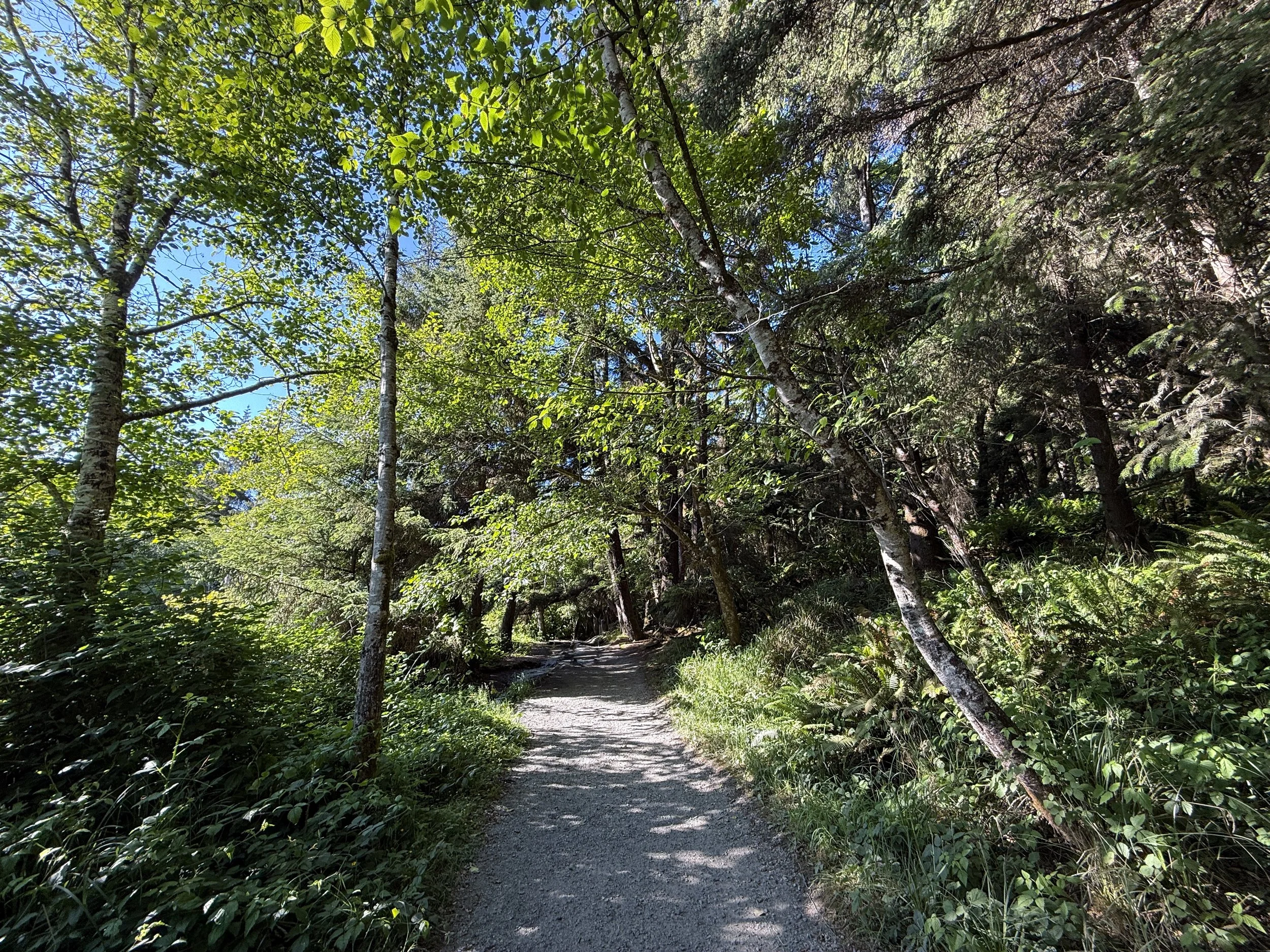 Fern Canyon Trail Prairie Creek Redwoods State Park California