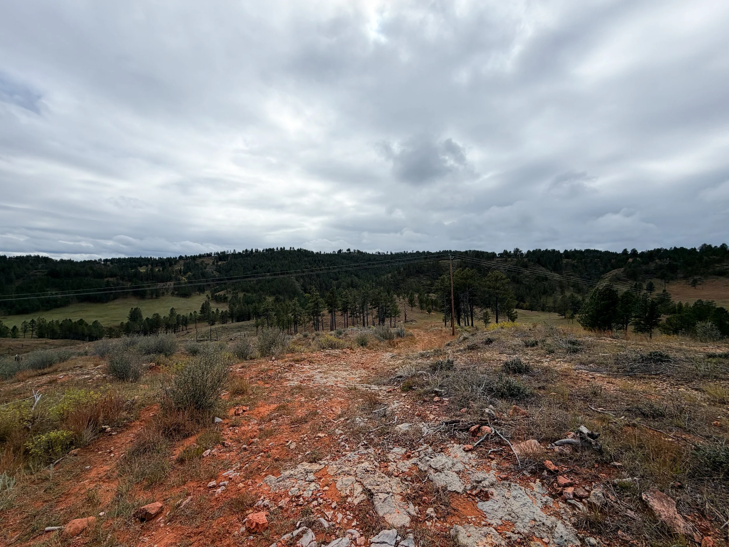 Highland Creek Trail Wind Cave National Park South Dakota