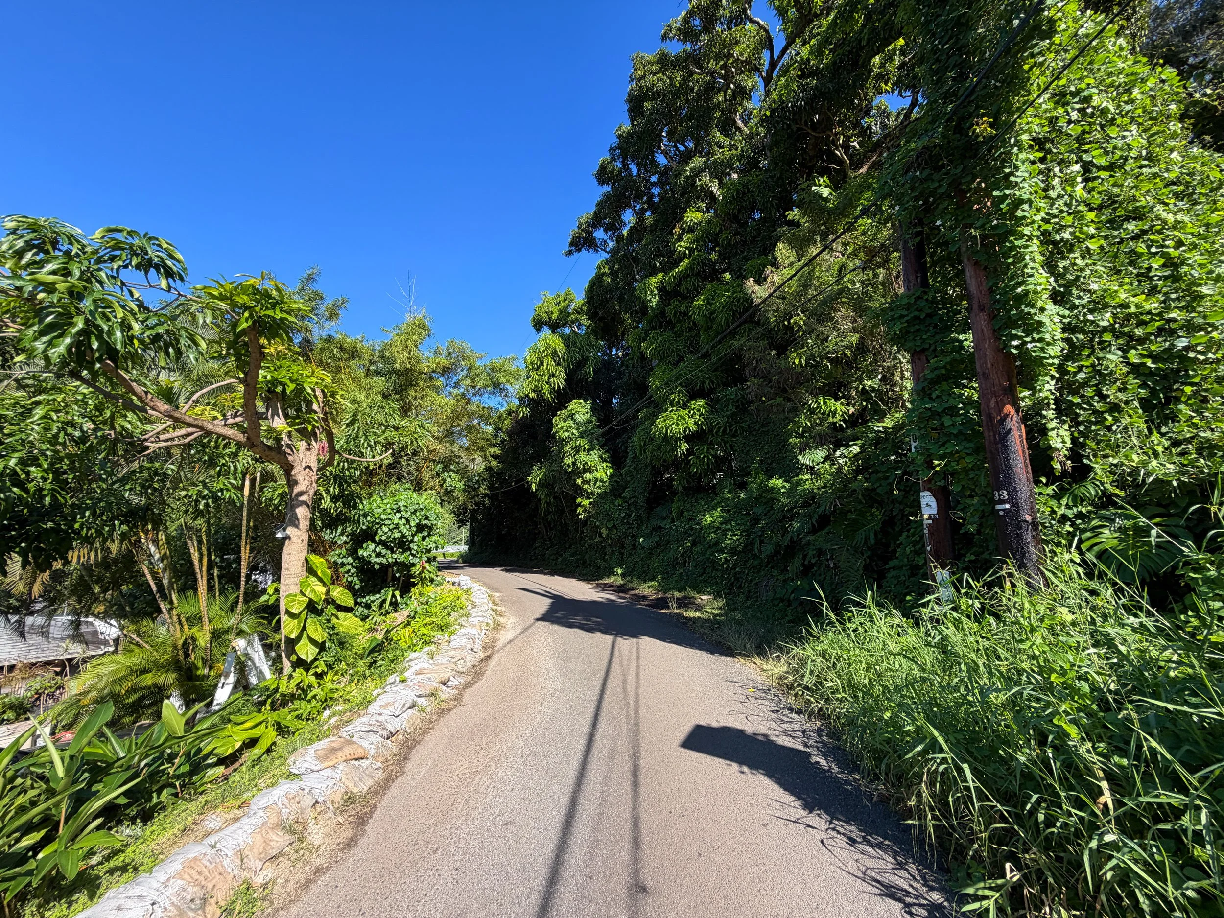 Walking to the Kaau Crater Trailhead Oahu Hawaii