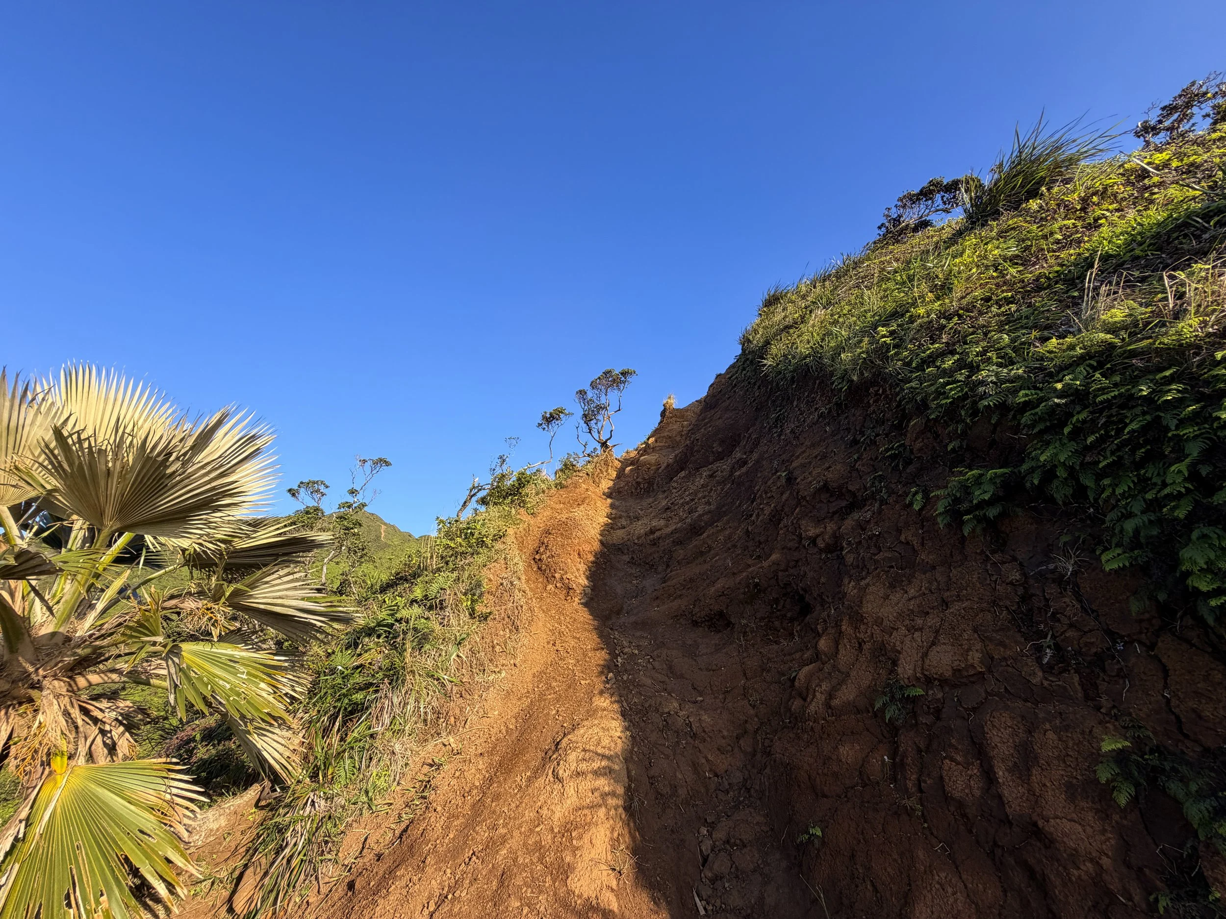 Moanalua Middle Ridge Trail to Stairway to Heaven Oahu Hawaii
