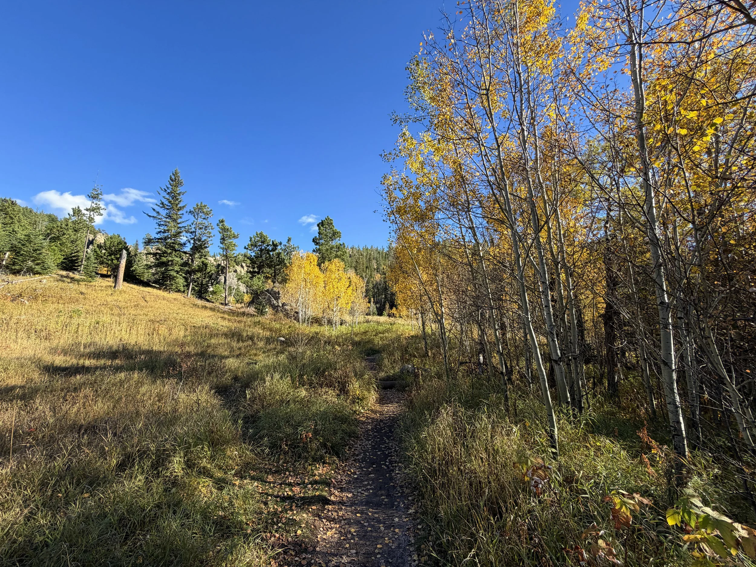 Little Devils Tower Hike Custer State Park Black Hills South Dakota