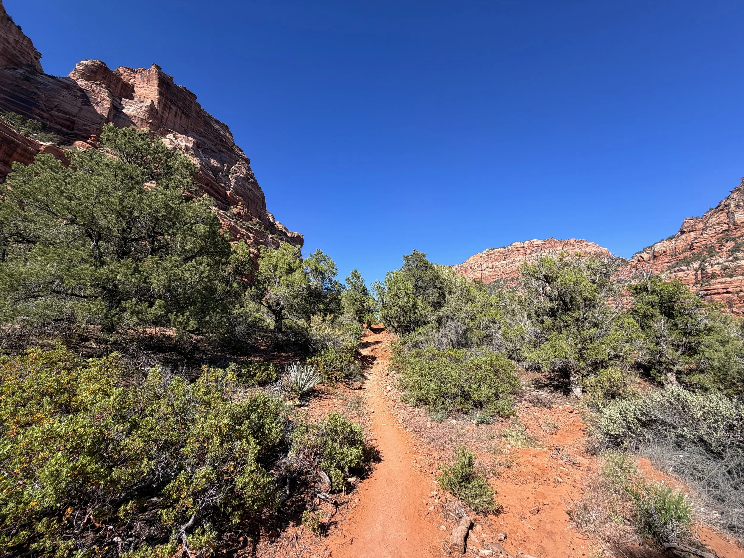 Left Fork Trail to the Subway Zion National Park Utah