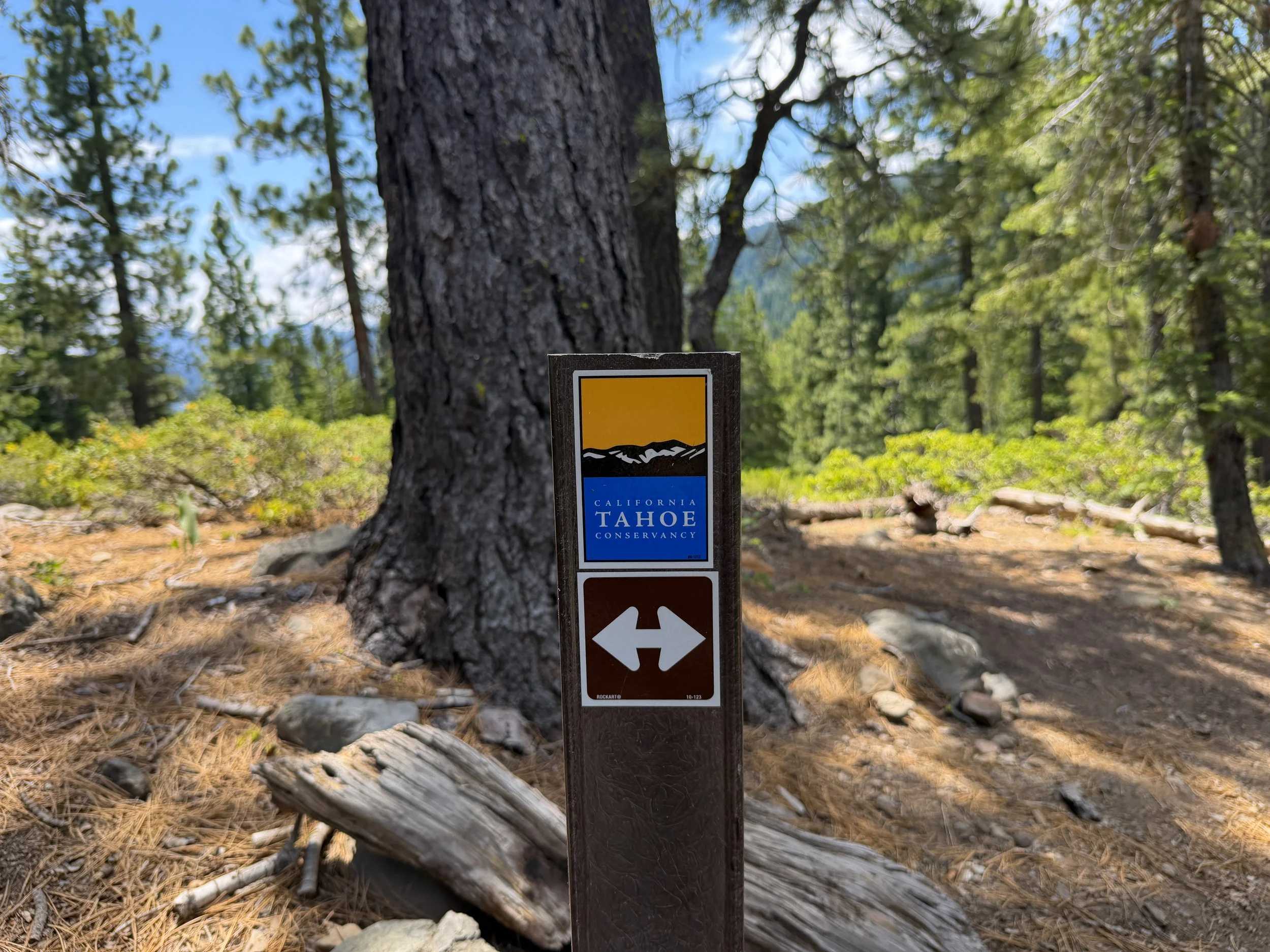 Eagle Rock Hike Lake Tahoe California