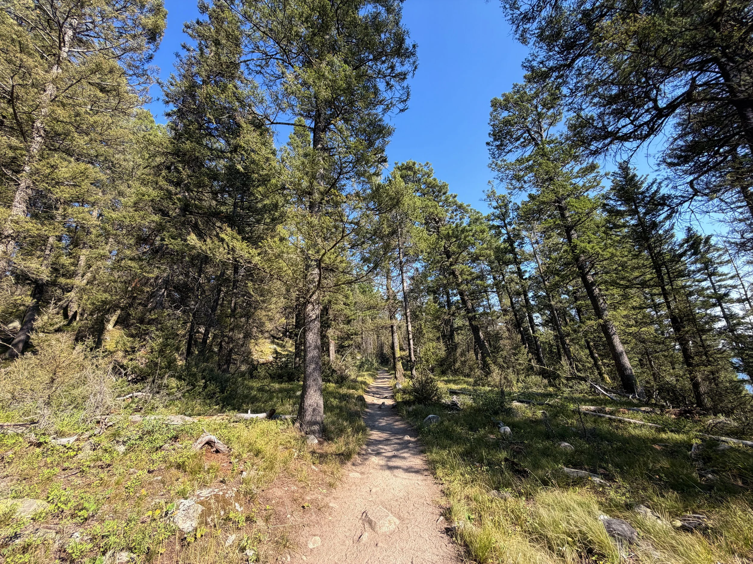 Jenny Lake Trail Grand Teton National Park Wyoming