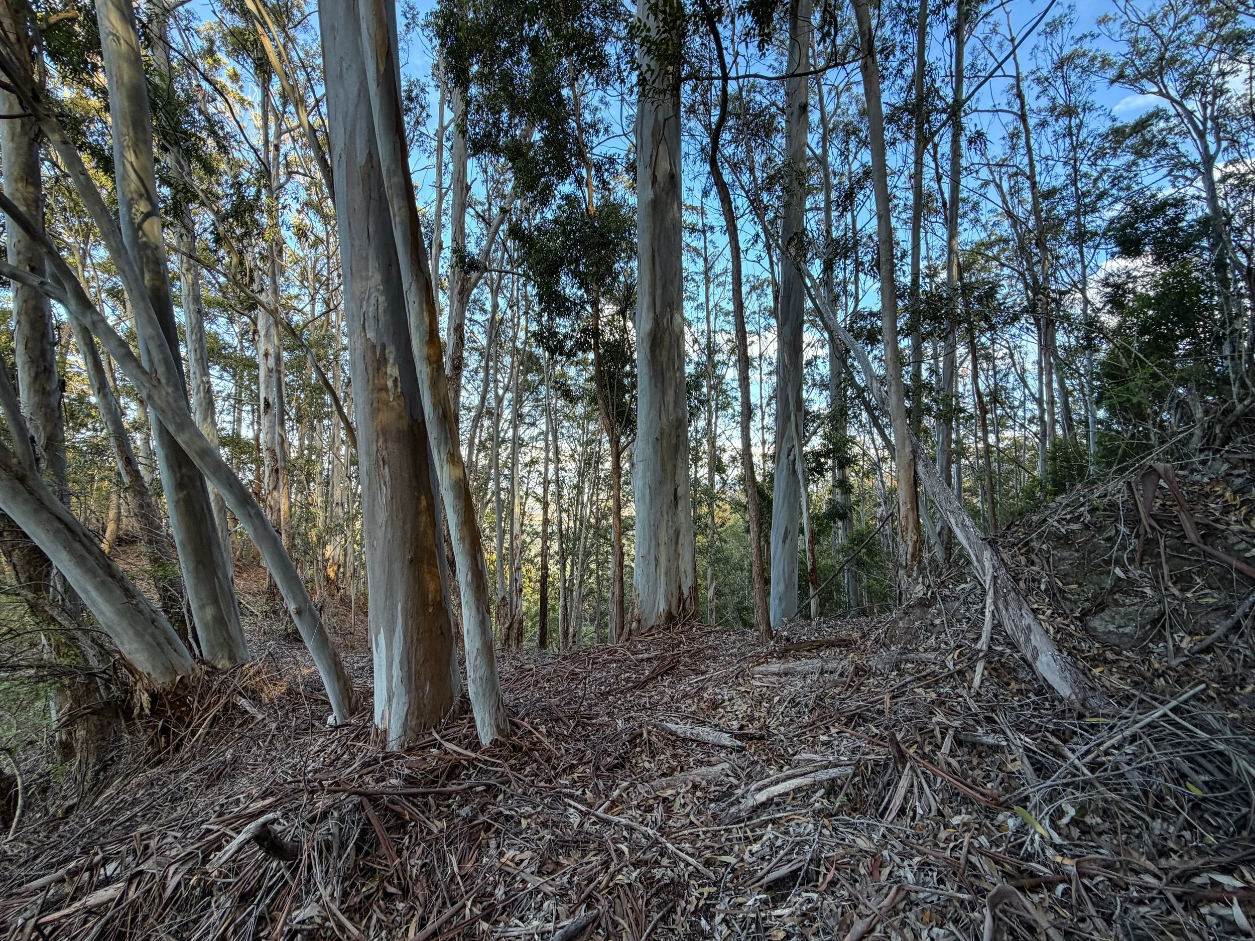 Mokuleia Trail Oahu Hawaii