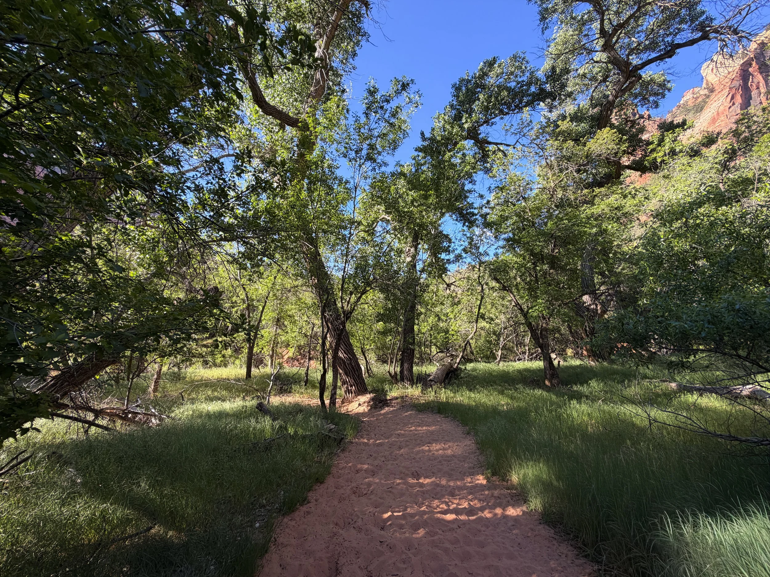 Sand Bench Trail Zion National Park Utah
