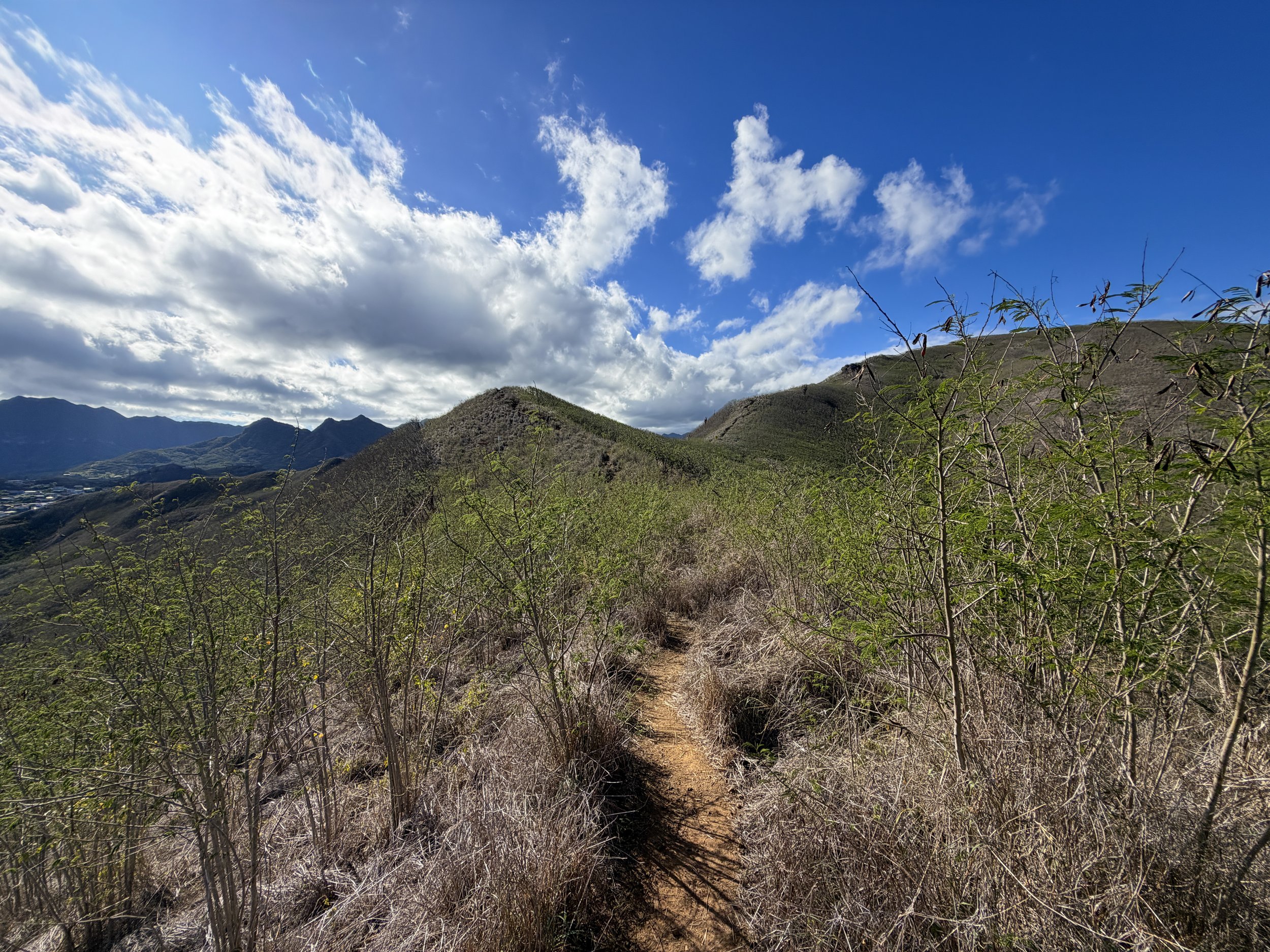 Back Lanikai Pillbox Hike Oahu Hawaii