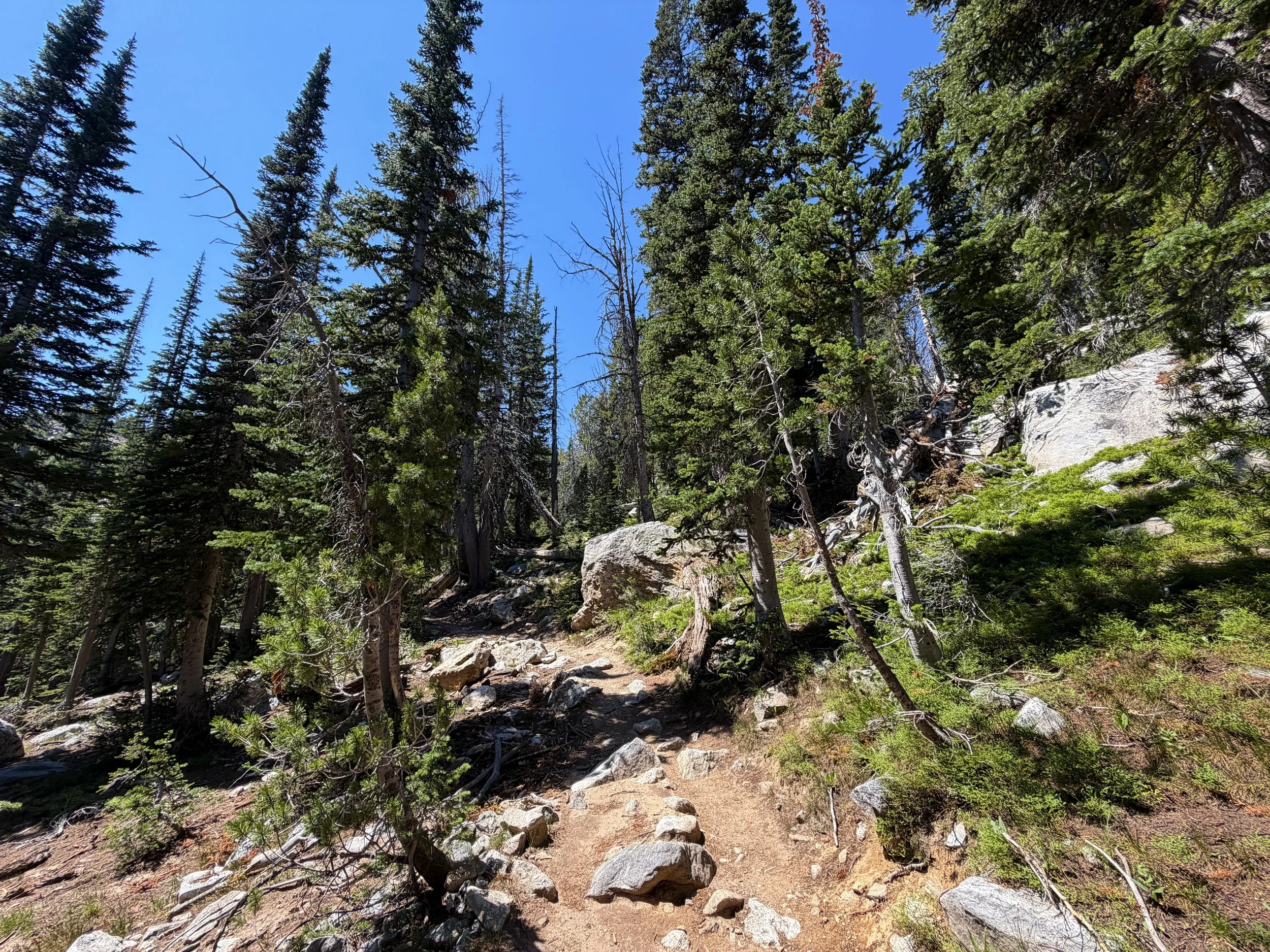 Surprise & Amphitheater Lakes Trail Grand Teton National Park Wyoming